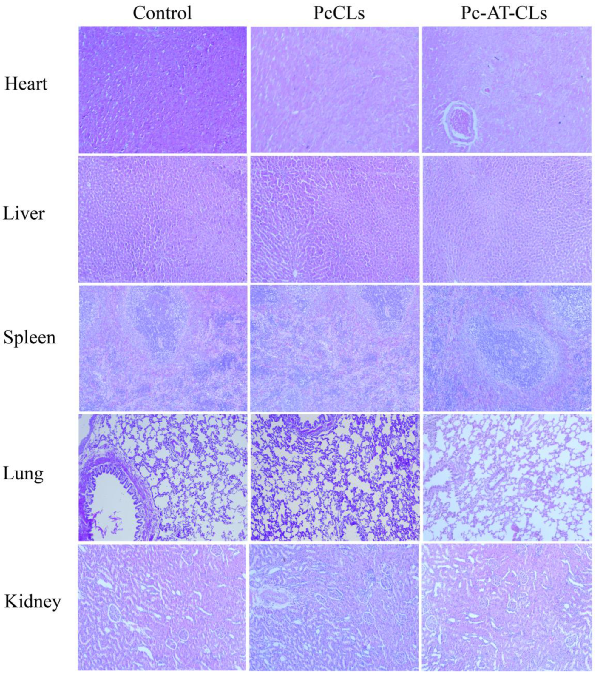 Nanomaterials 13 00540 g007