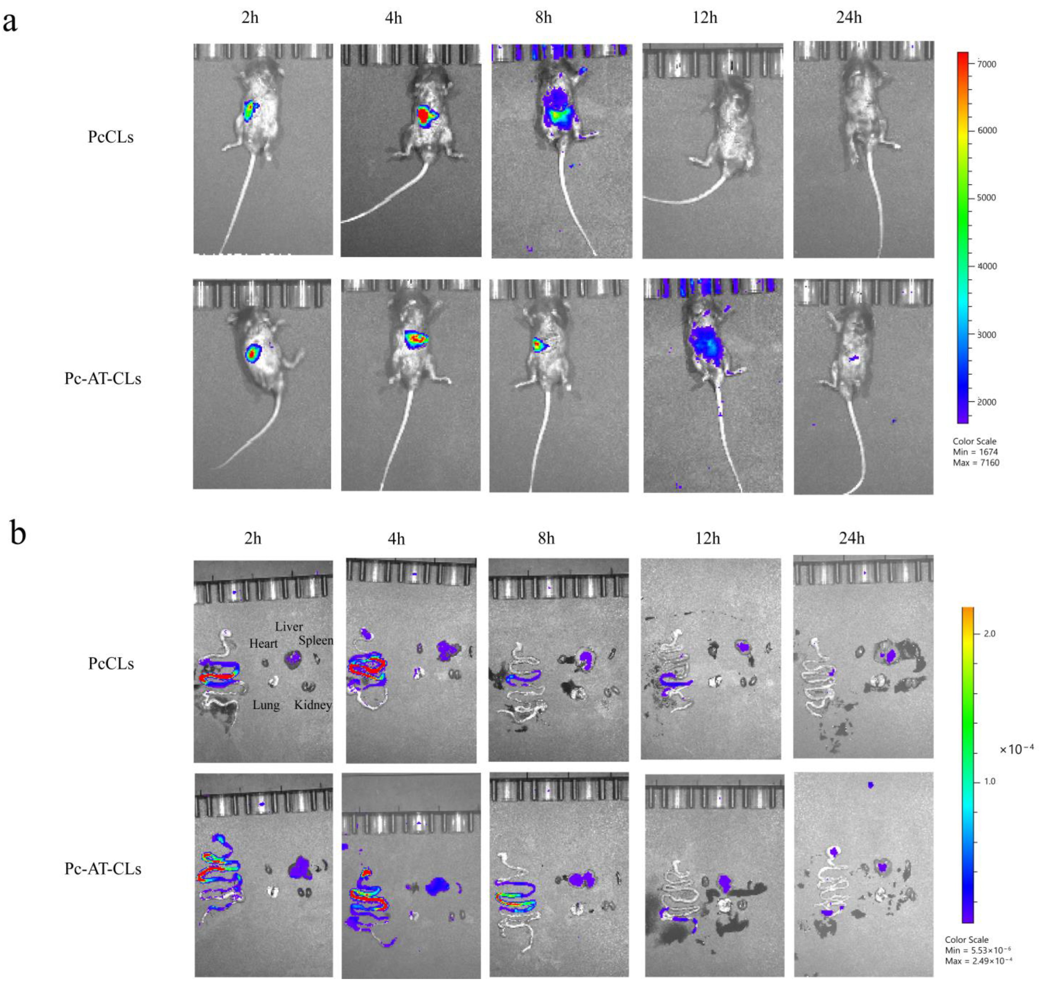 Nanomaterials 13 00540 g008