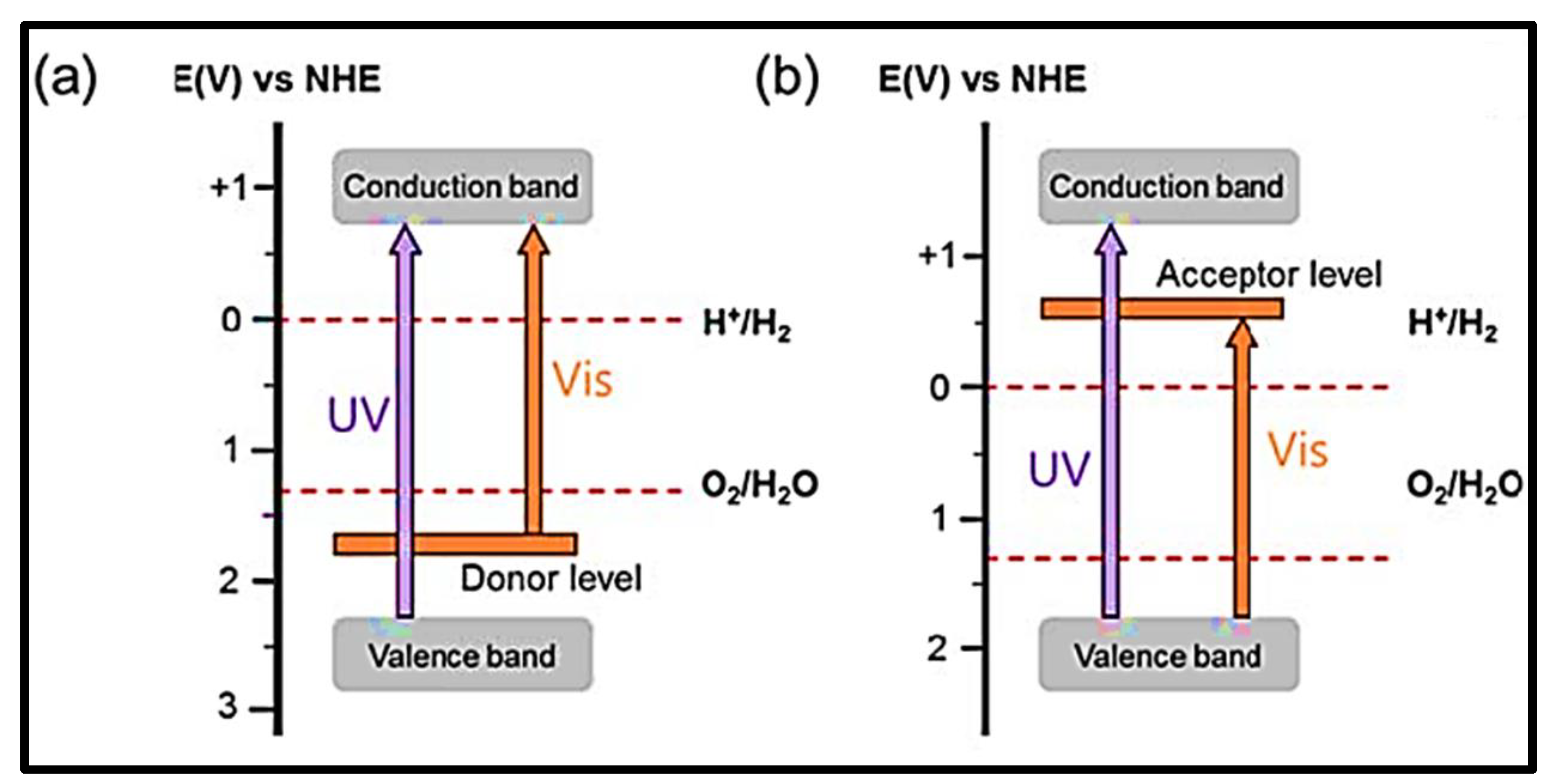 Nanomaterials 13 00546 g004