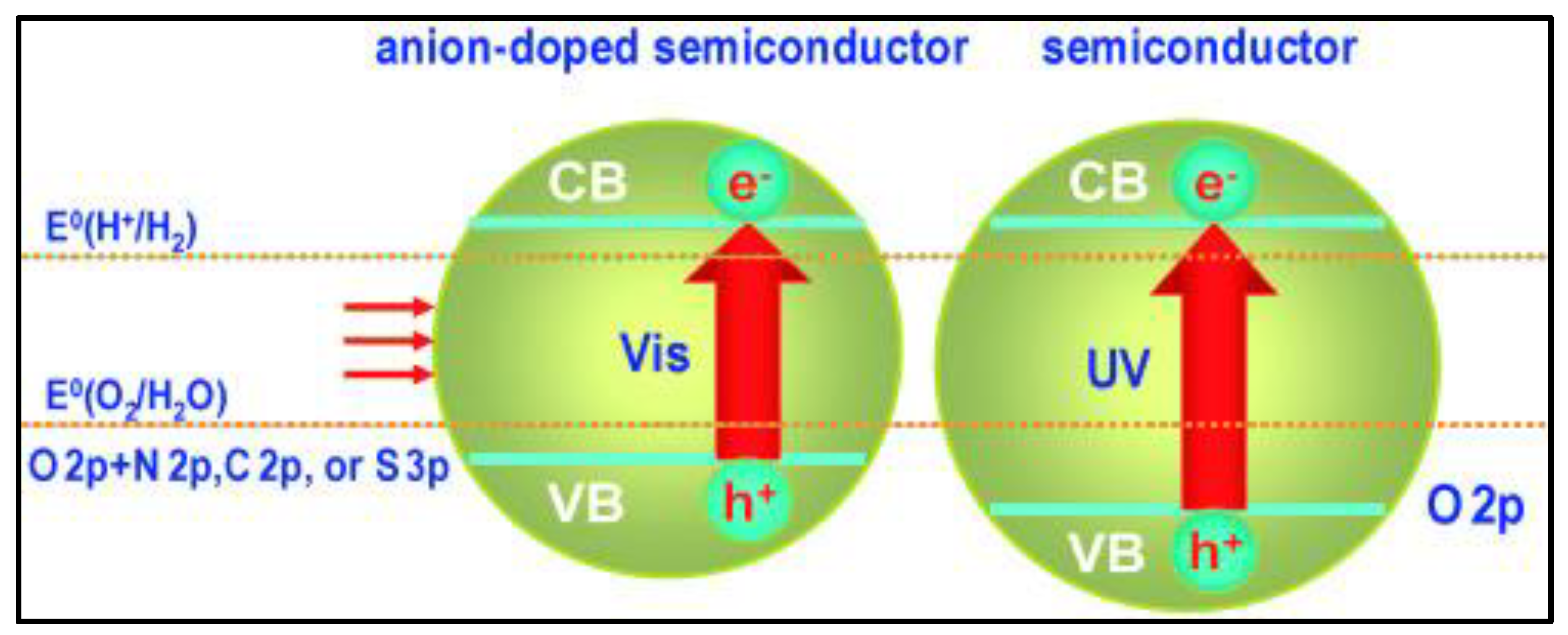 Nanomaterials 13 00546 g005