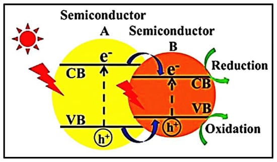 Nanomaterials 13 00546 g006