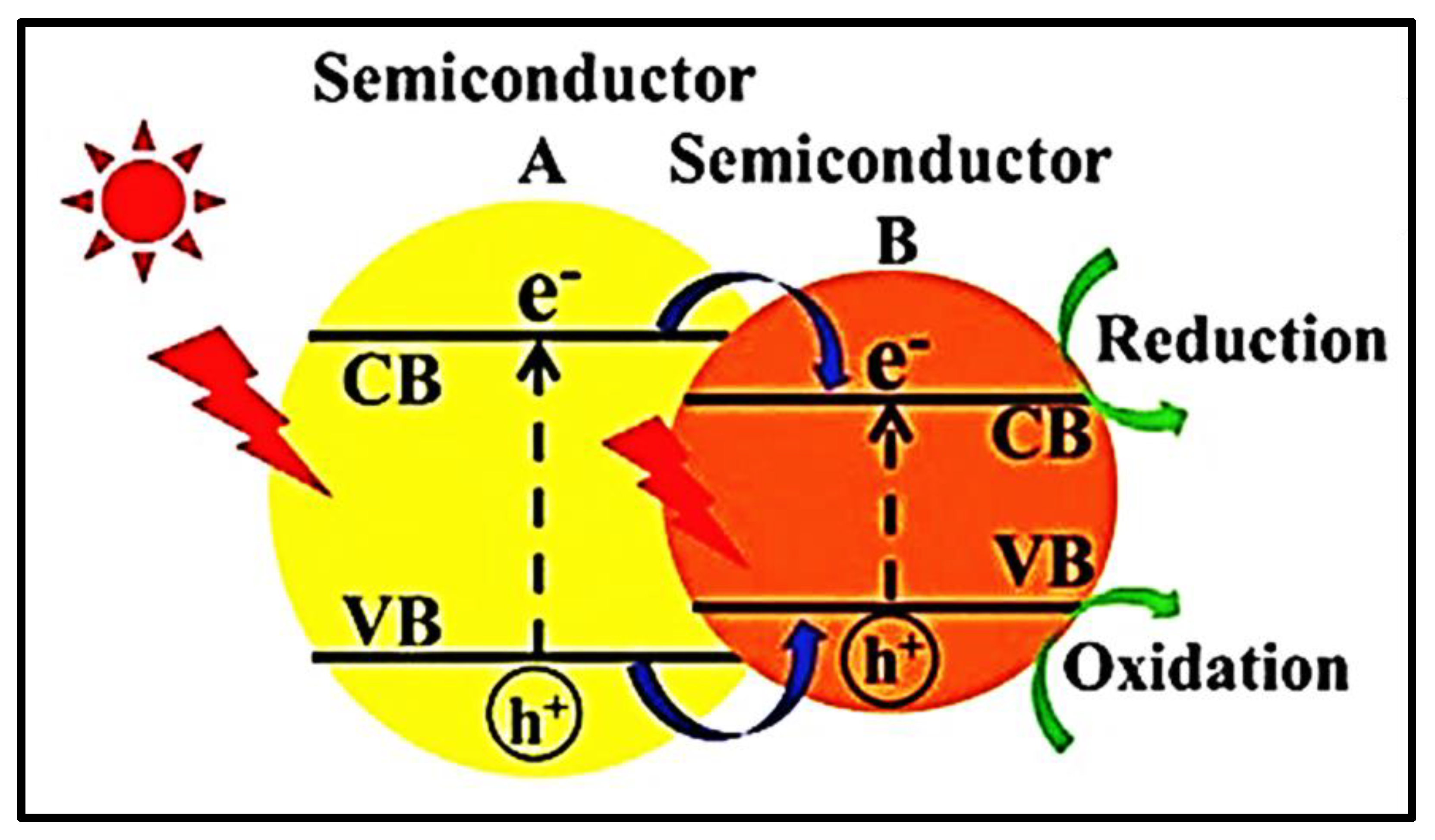 Nanomaterials 13 00546 g006