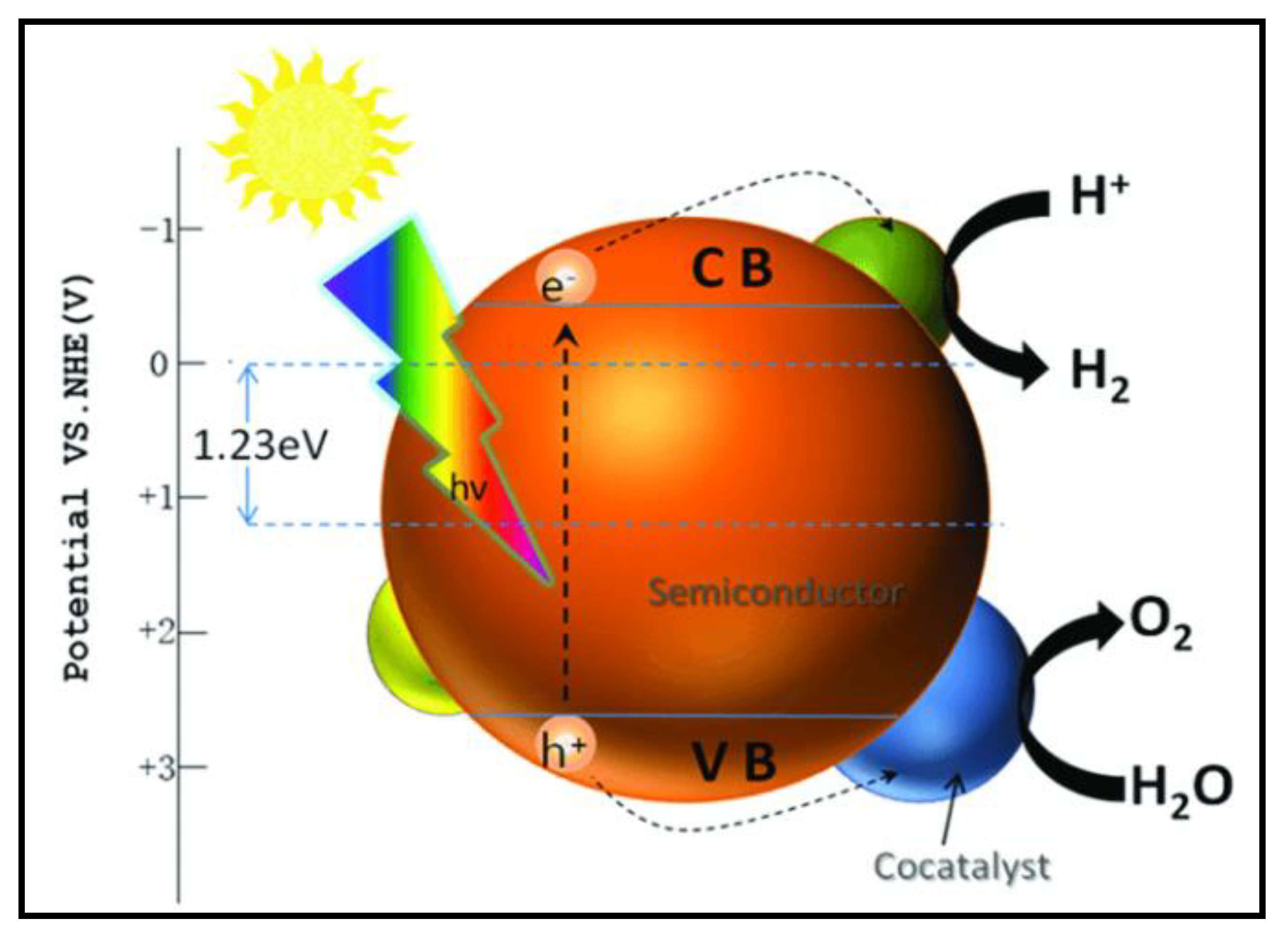 Nanomaterials 13 00546 g007