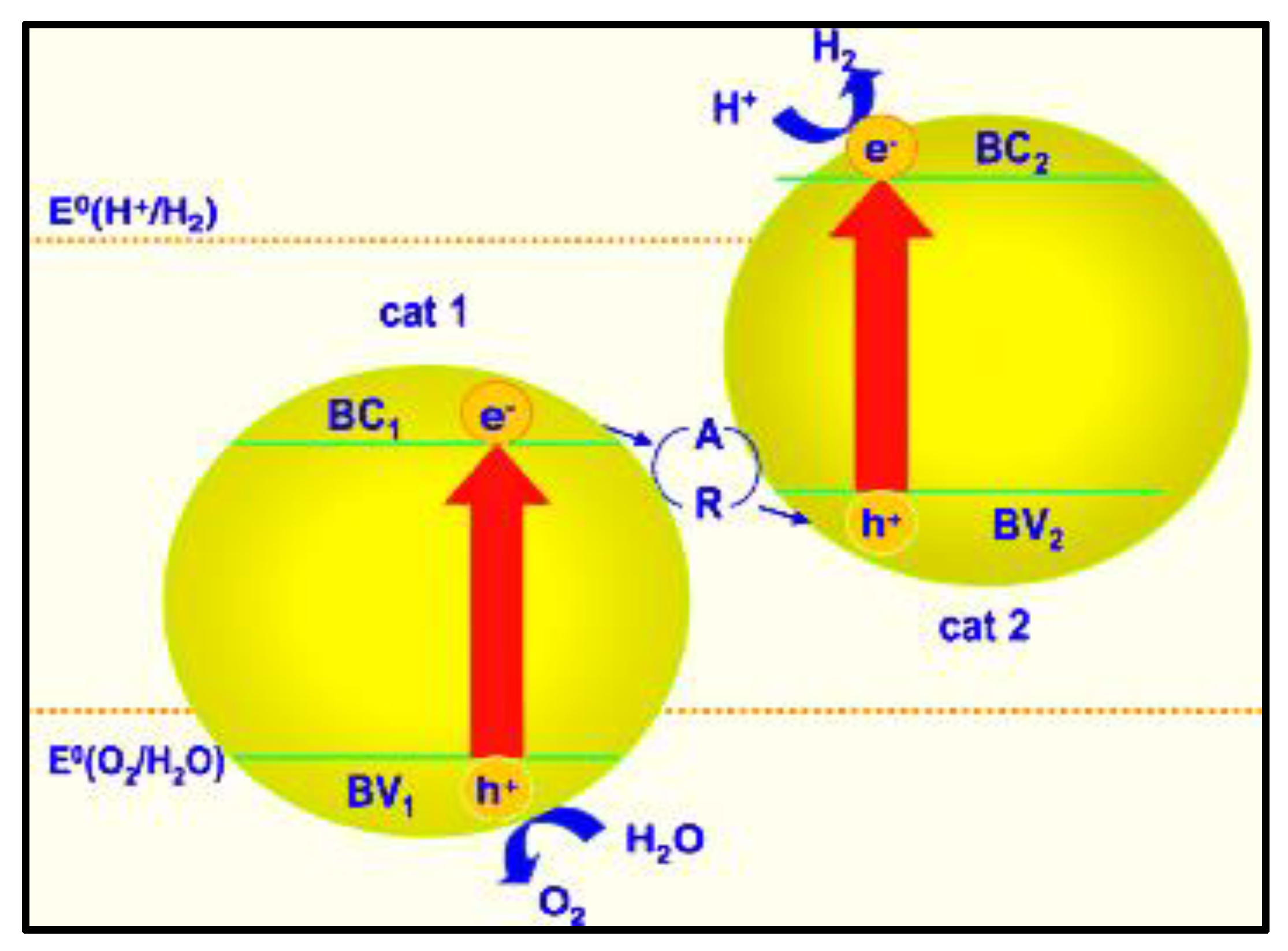 Nanomaterials 13 00546 g008