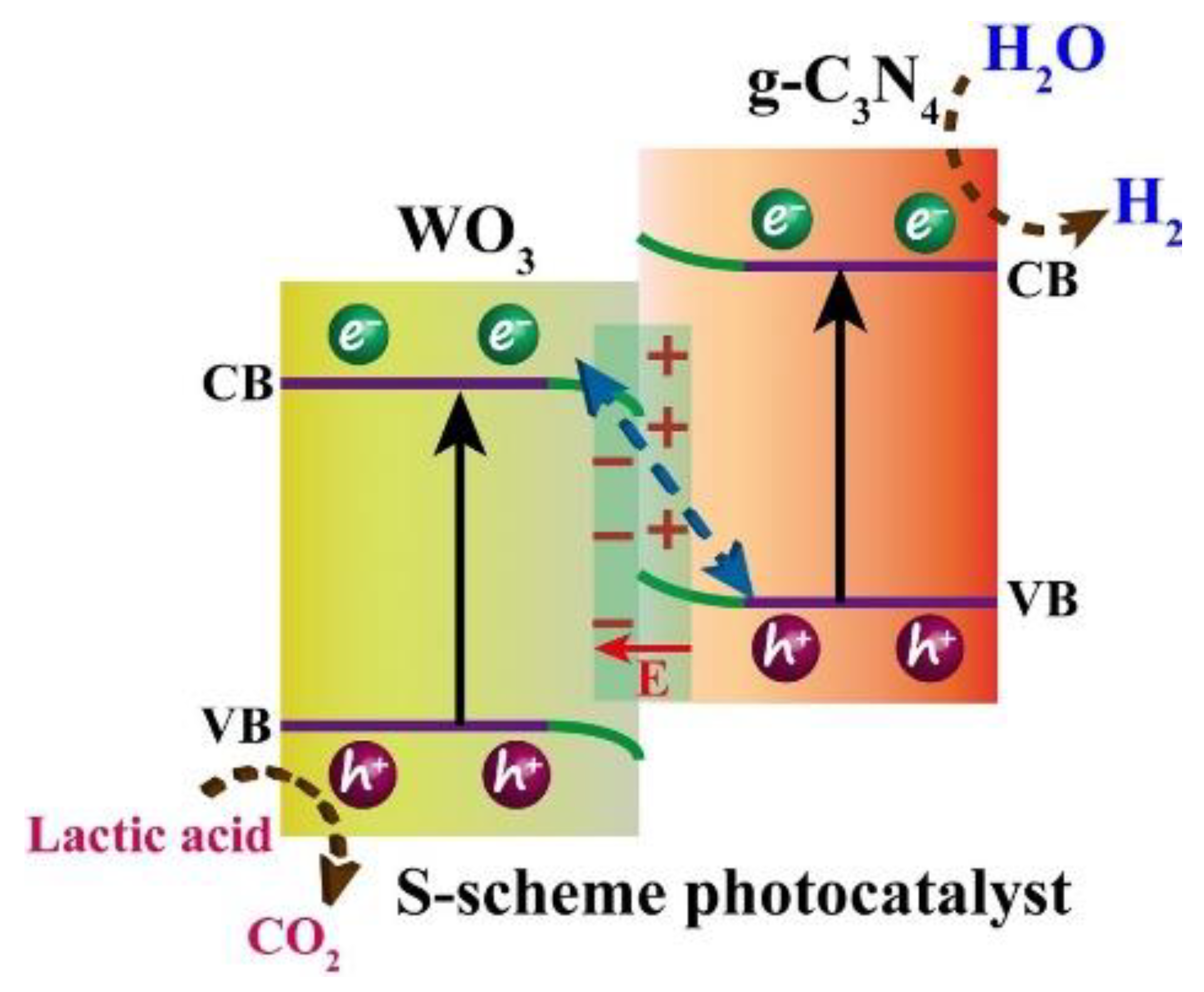 Nanomaterials 13 00546 g010