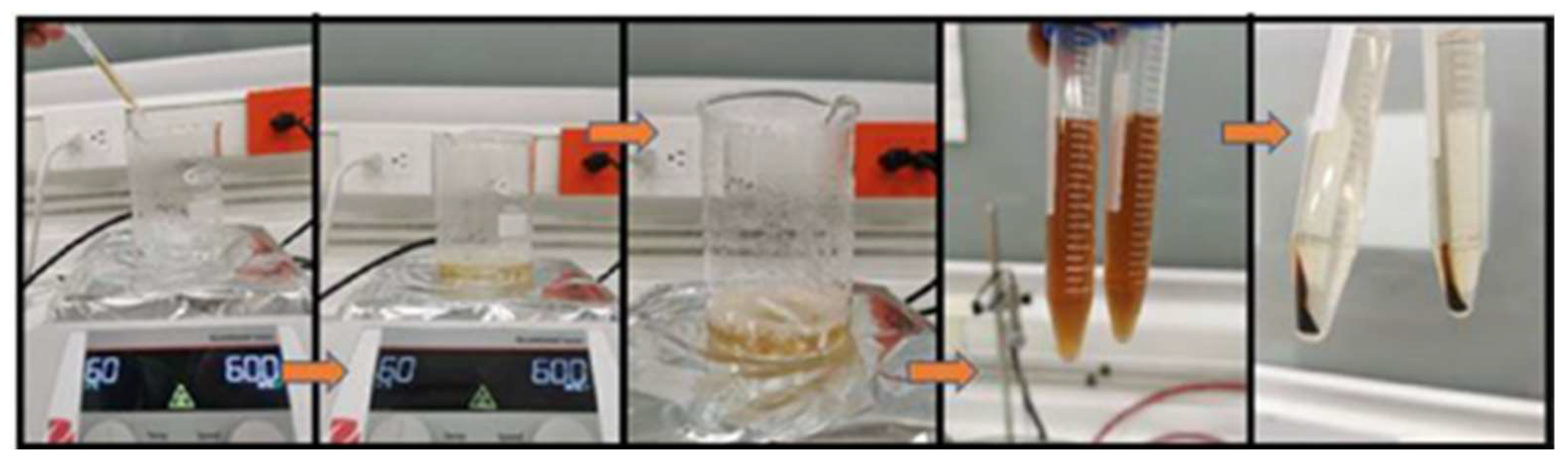 Nanomaterials 13 00548 g002