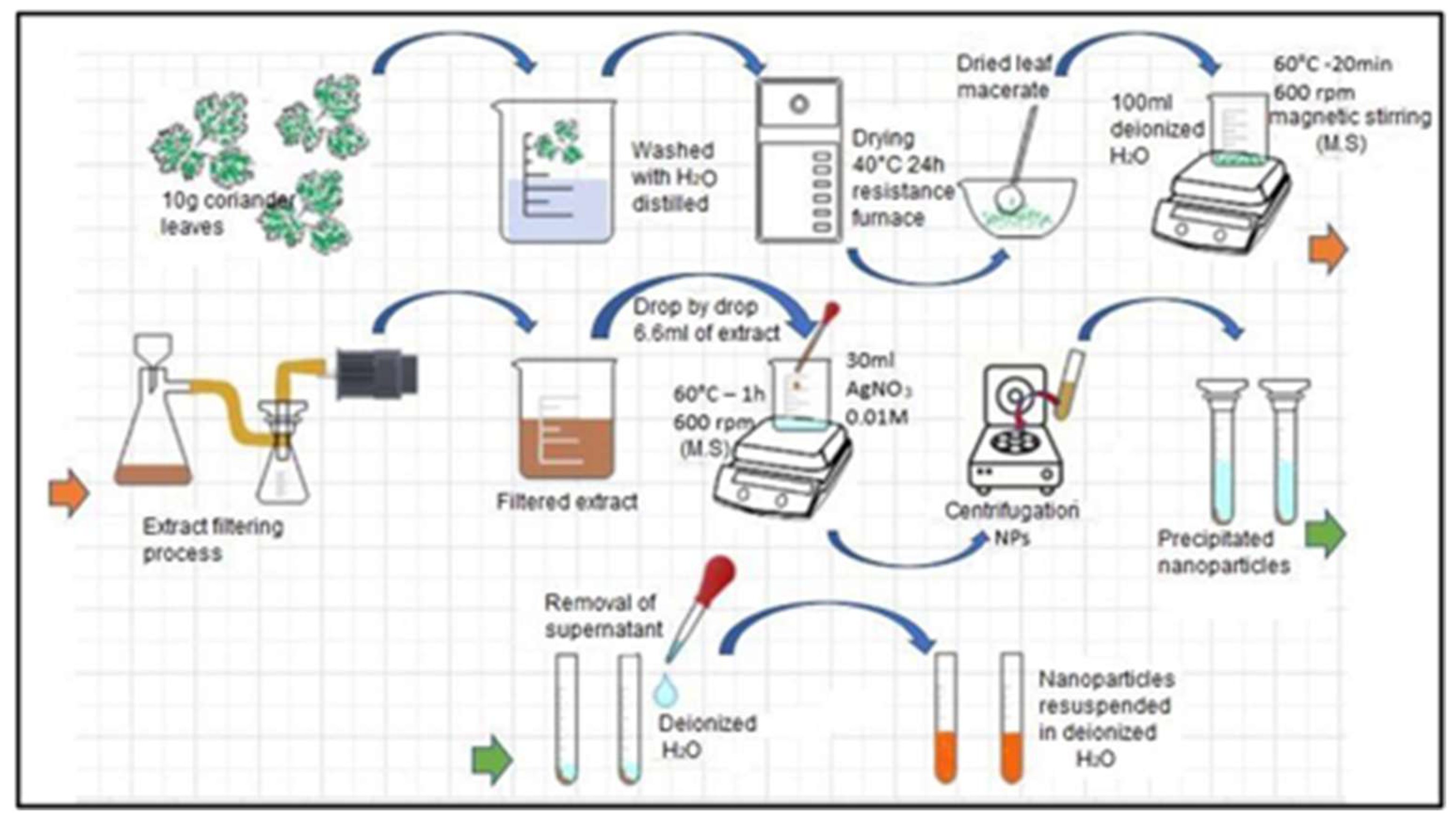 Nanomaterials 13 00548 g003