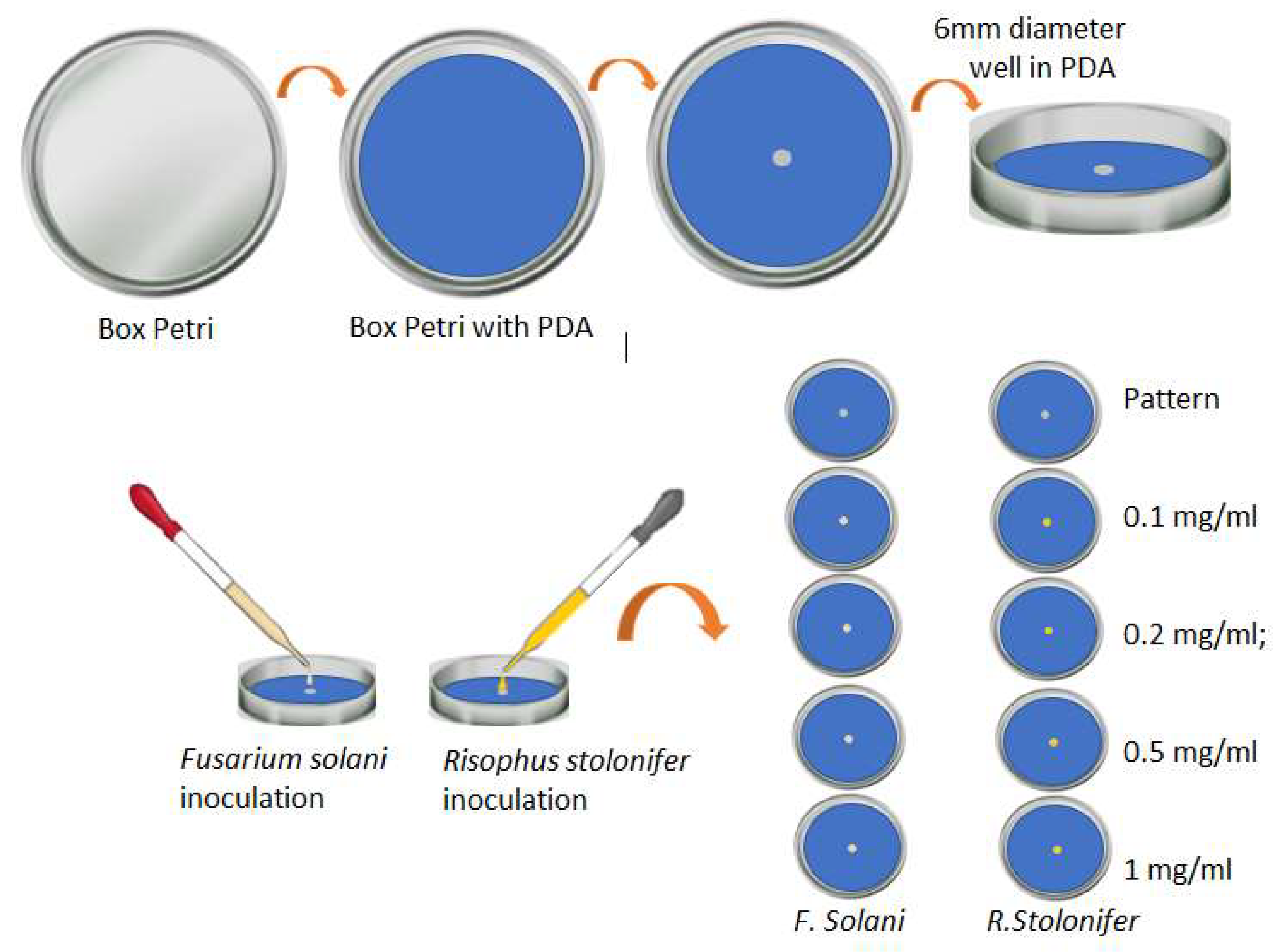 Nanomaterials 13 00548 g004