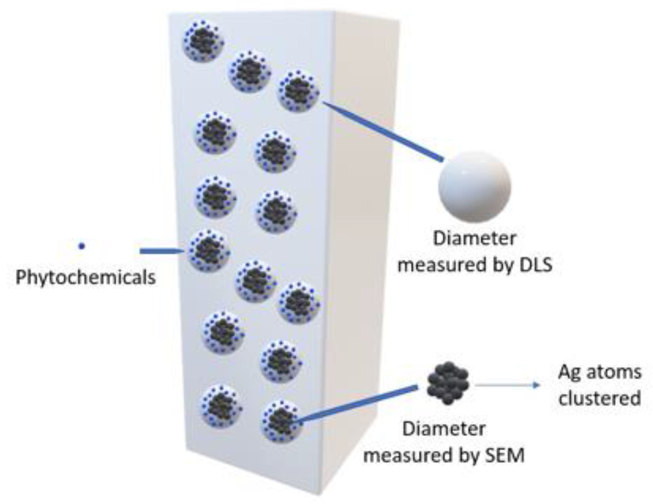Nanomaterials 13 00548 g009