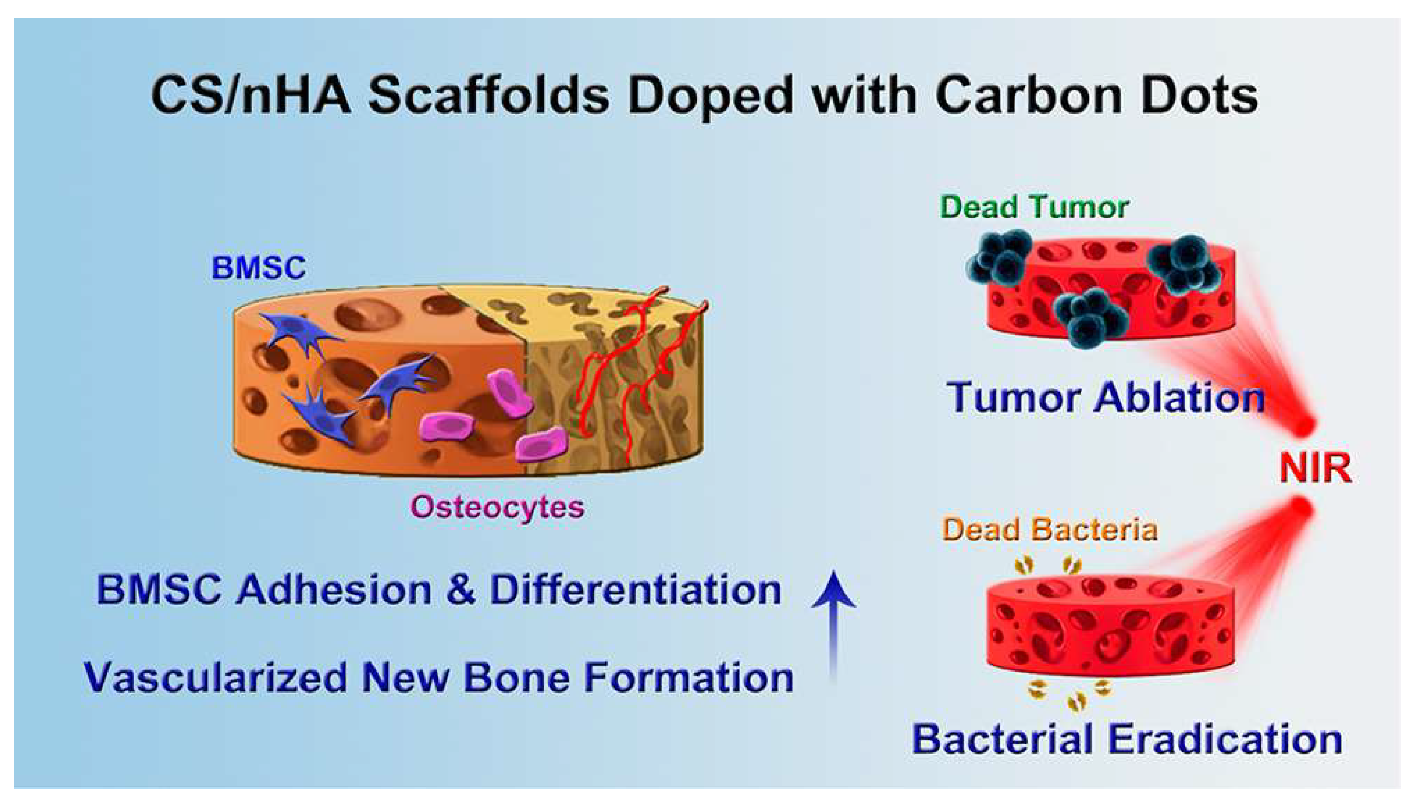 Nanomaterials 13 00551 g001 Nanomaterials 13 00551 g001