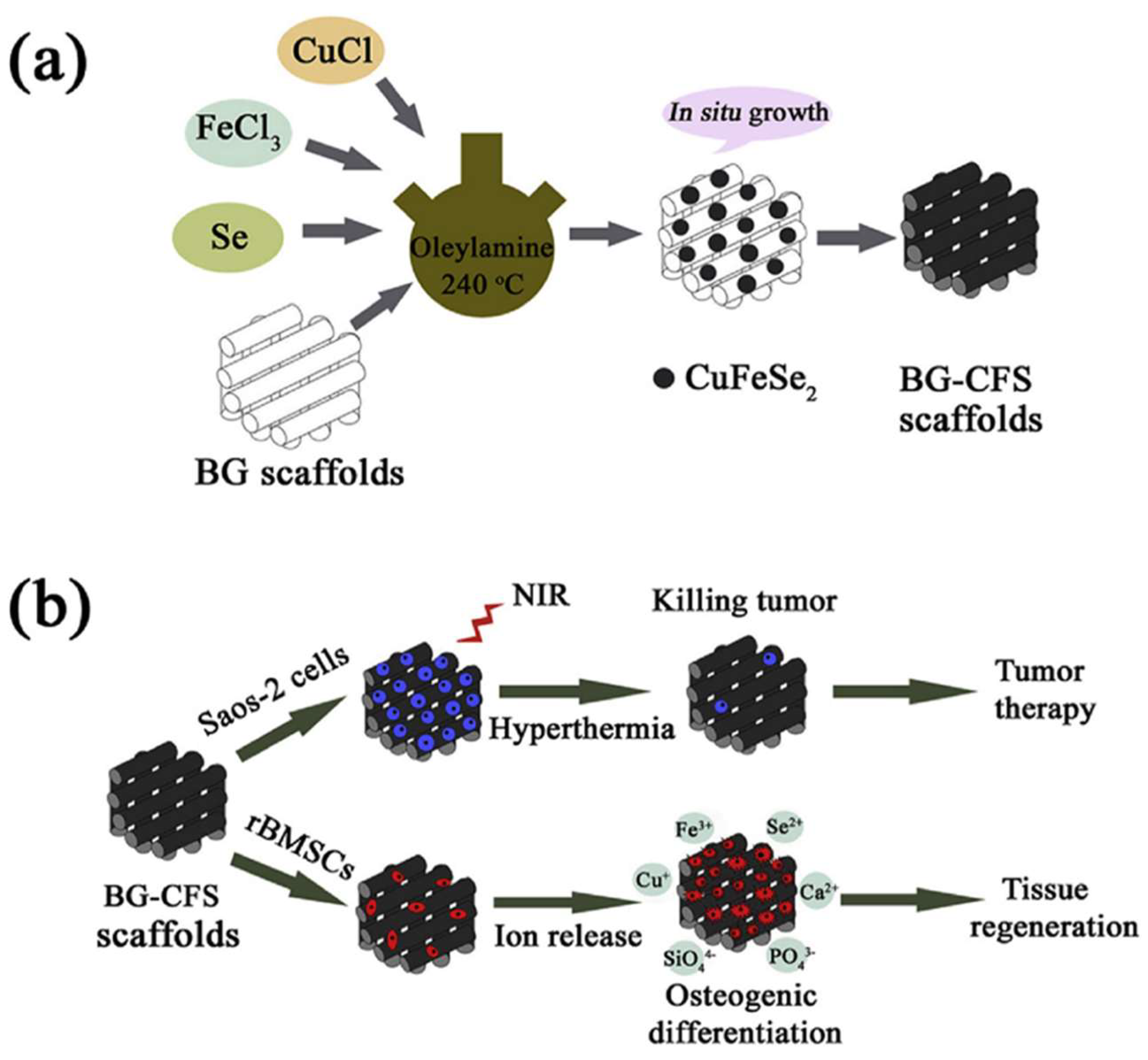 Nanomaterials 13 00551 g005 Nanomaterials 13 00551 g005