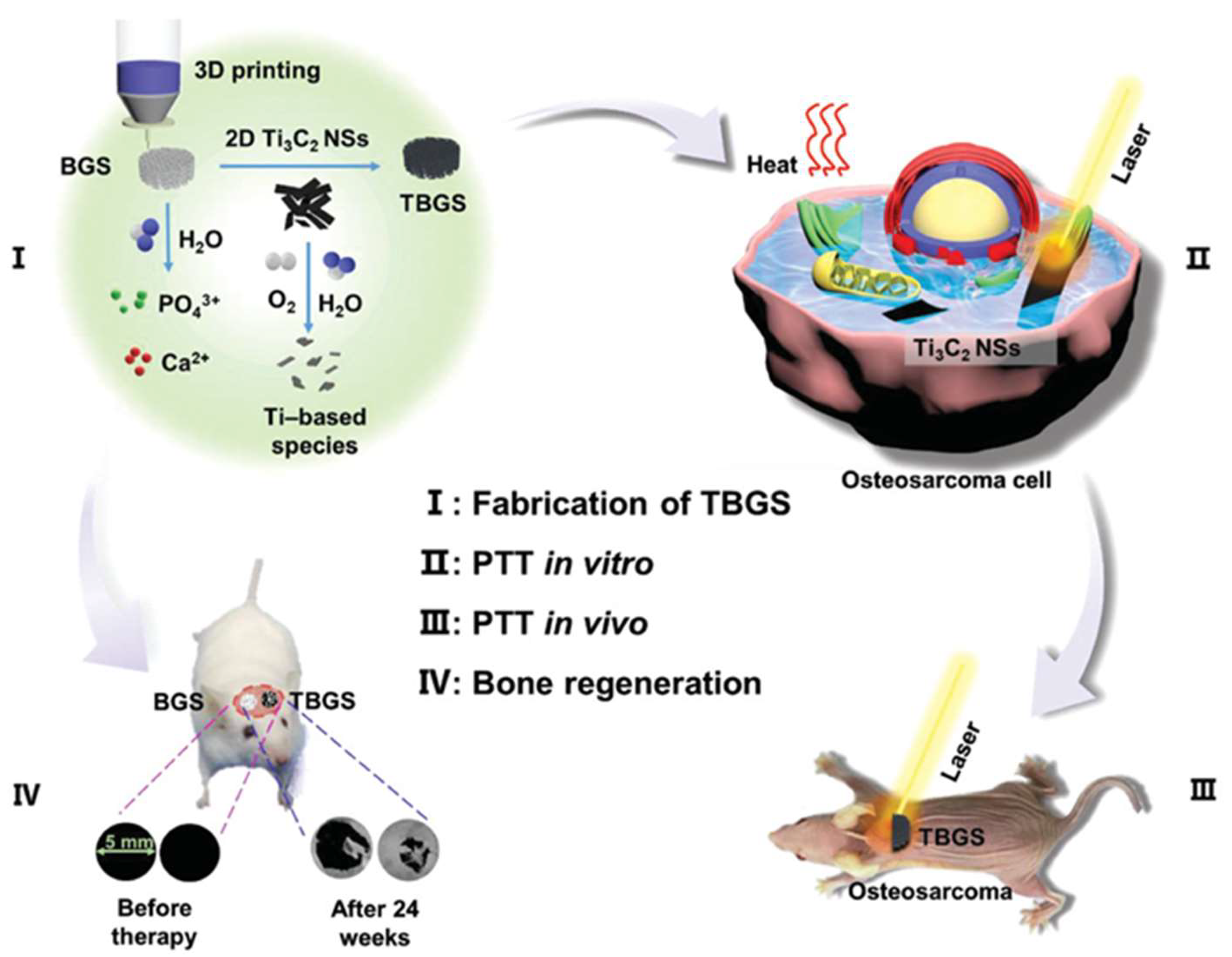 Nanomaterials 13 00551 g007 Nanomaterials 13 00551 g007