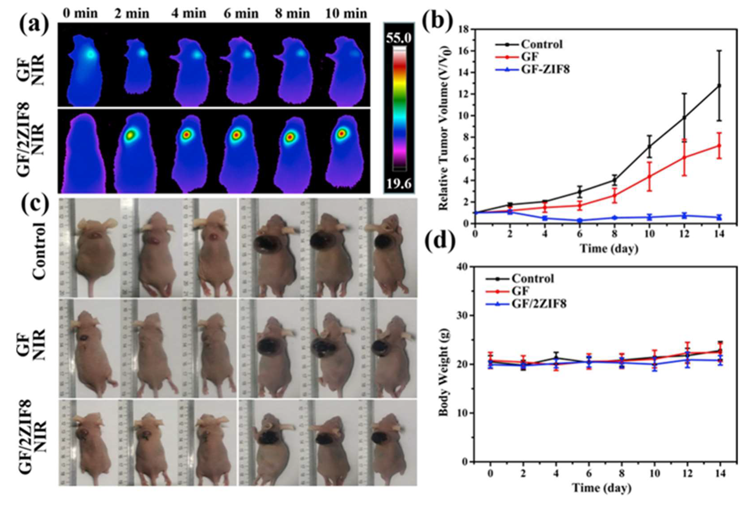 Nanomaterials 13 00551 g011 Nanomaterials 13 00551 g011