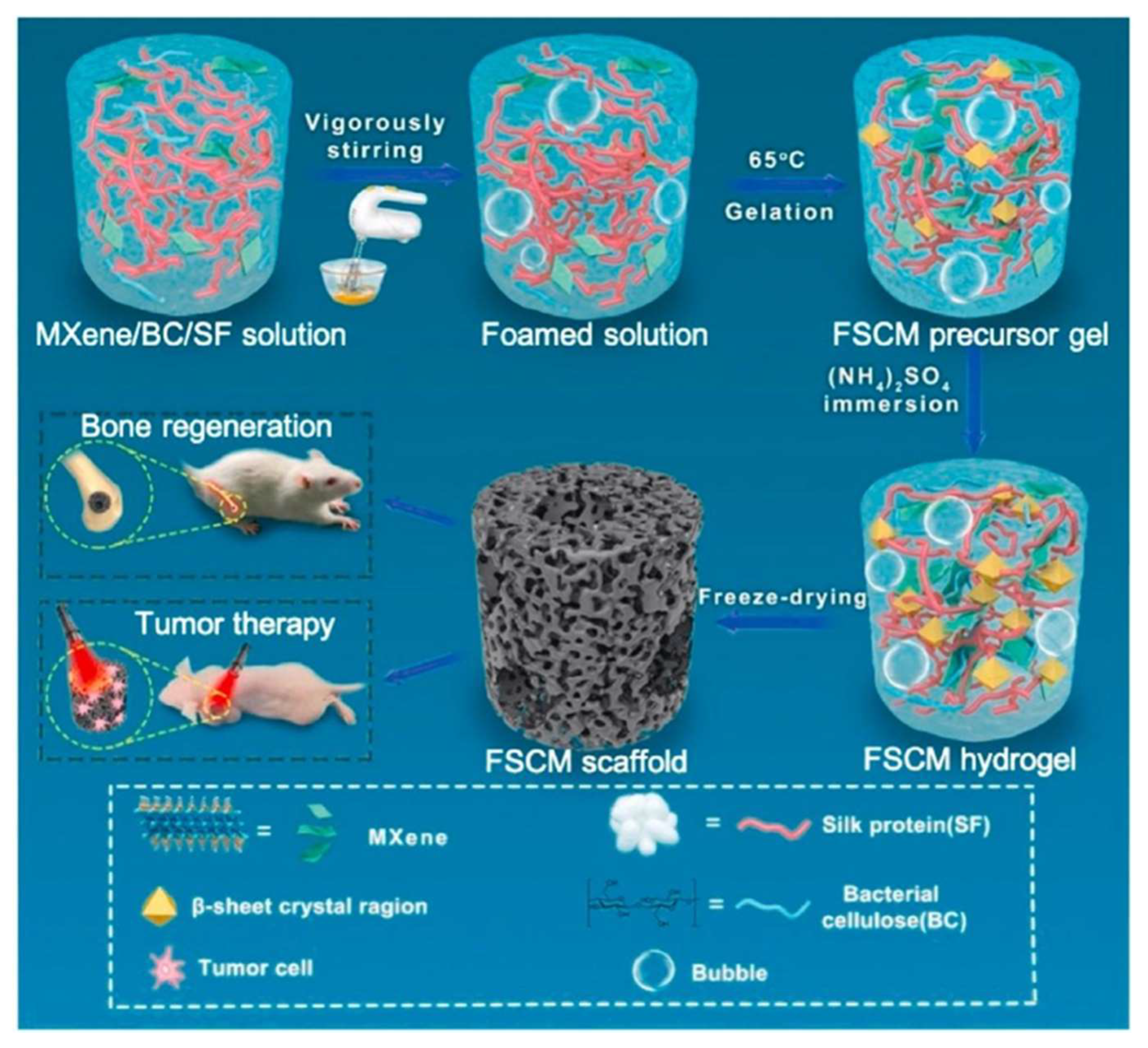 Nanomaterials 13 00551 g012 Nanomaterials 13 00551 g012
