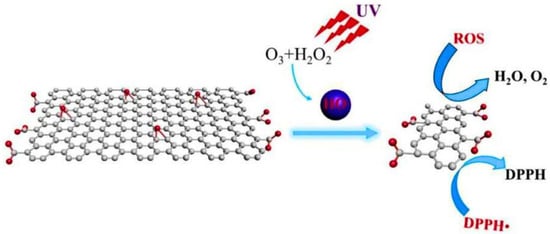 Nanomaterials 13 00554 g007