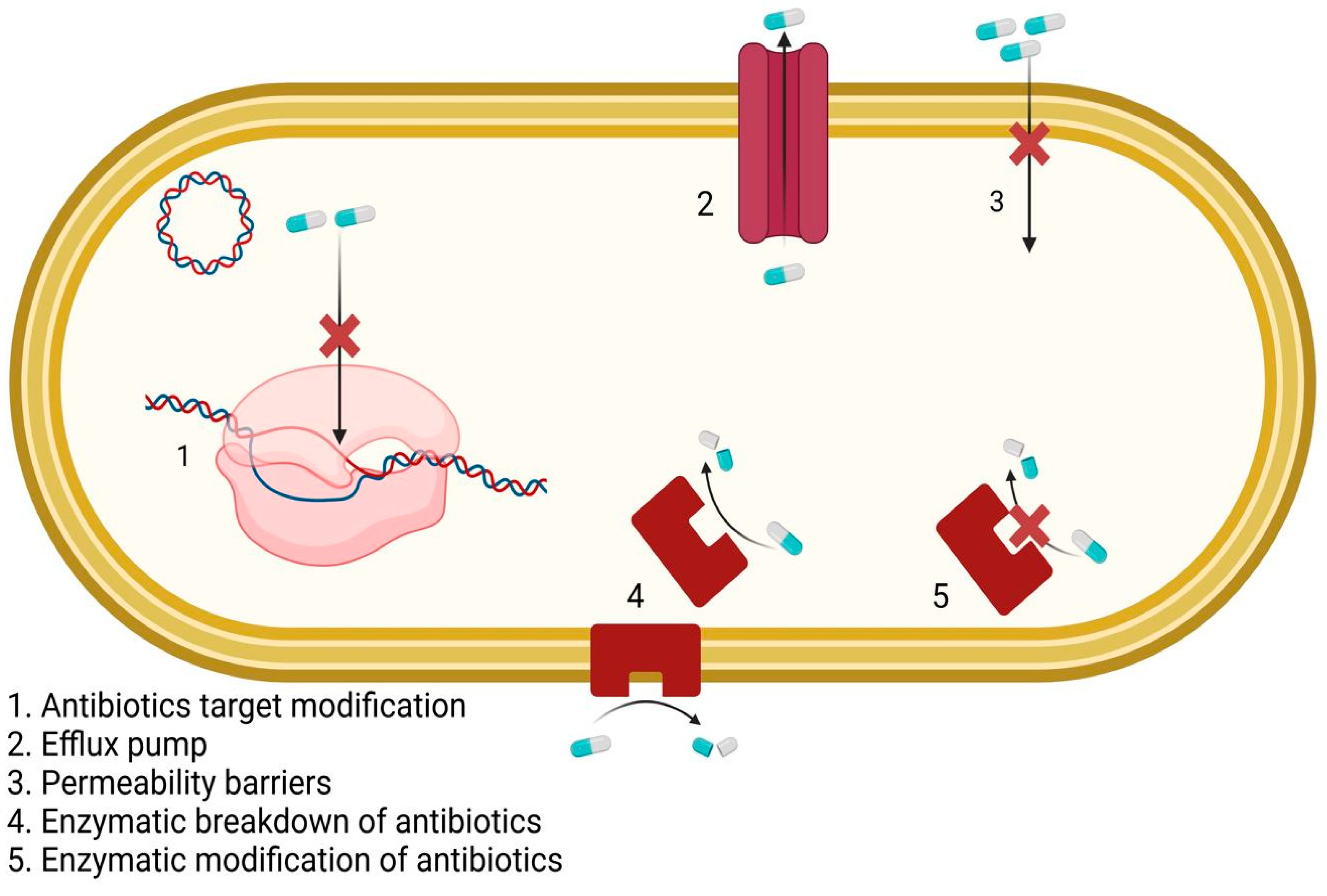 Nanomaterials 13 00555 g001