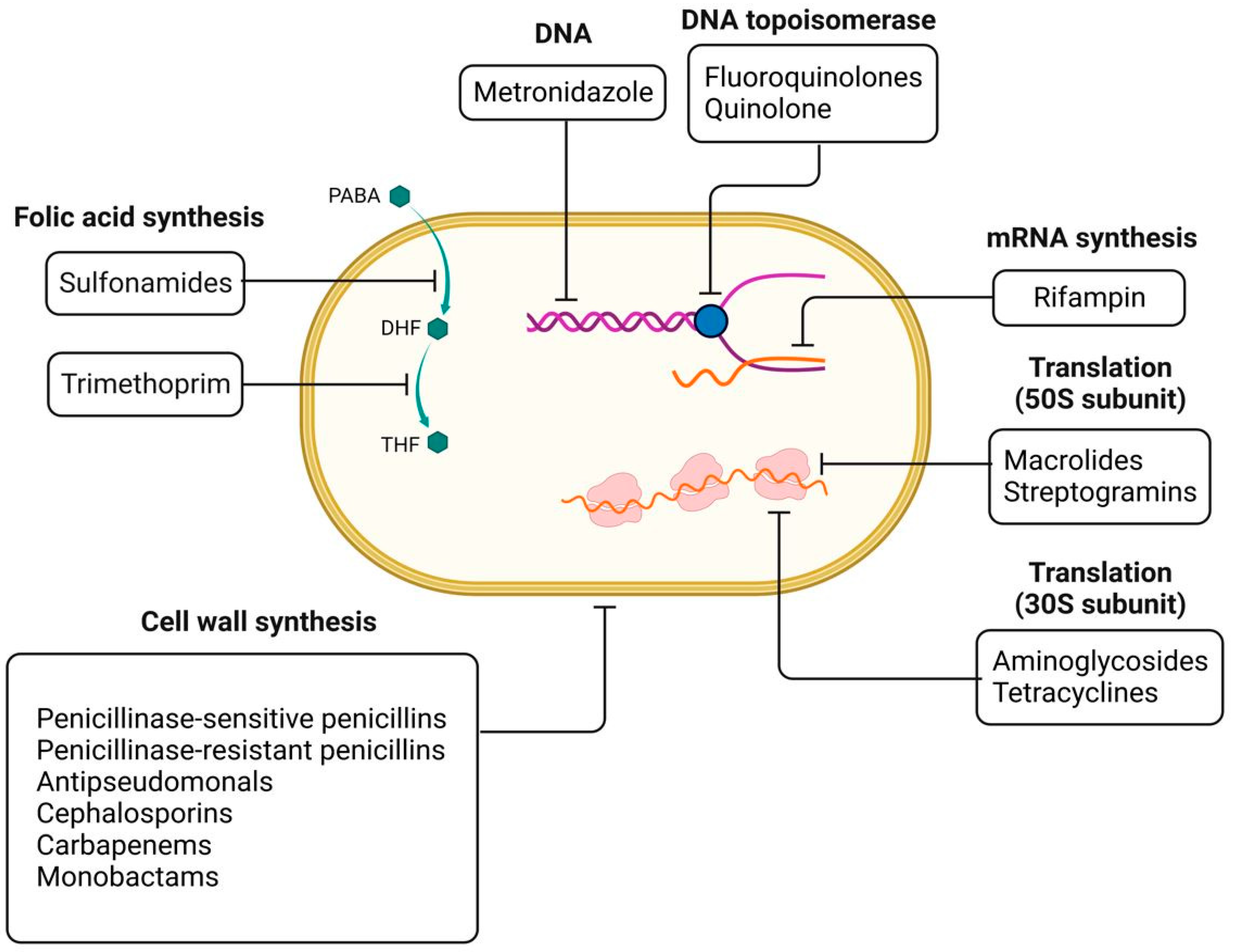 Nanomaterials 13 00555 g002
