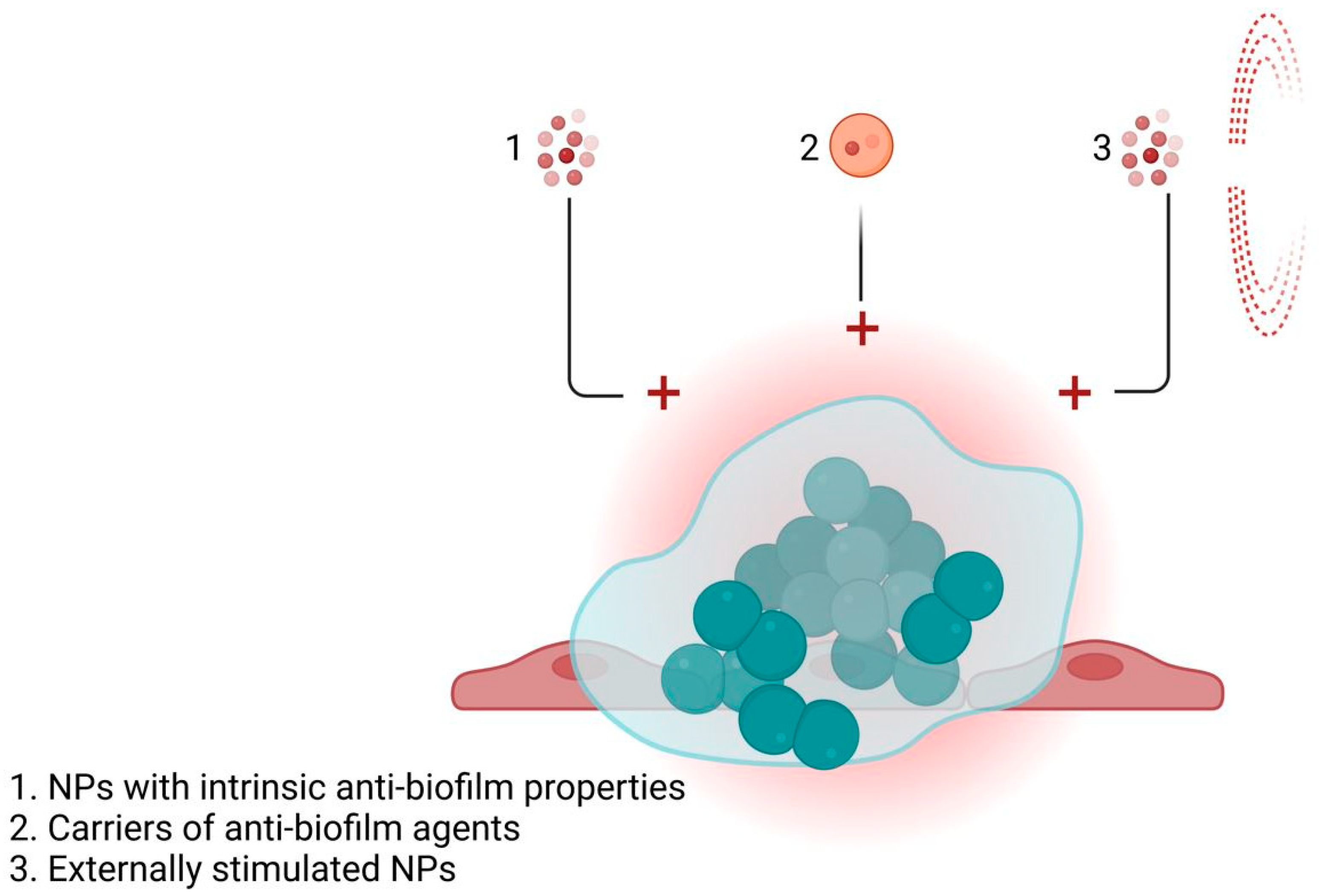 Nanomaterials 13 00555 g005