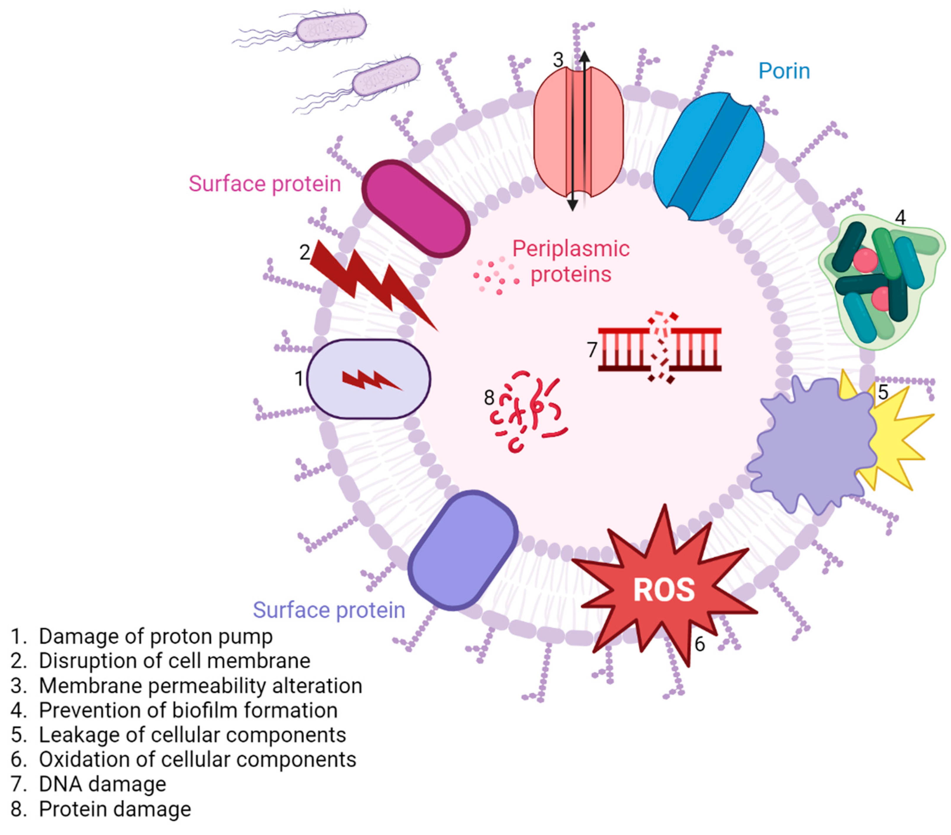 Nanomaterials 13 00555 g006