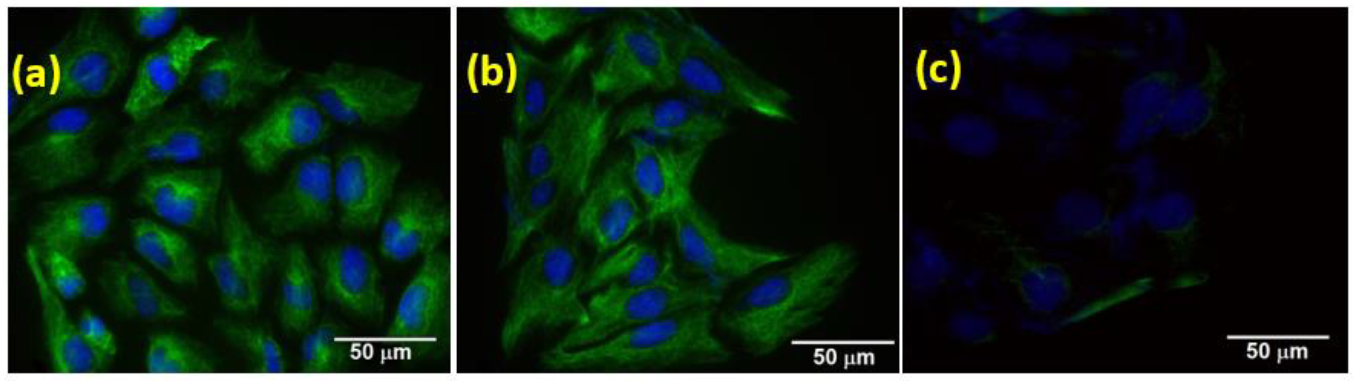 Nanomaterials 13 00556 g007