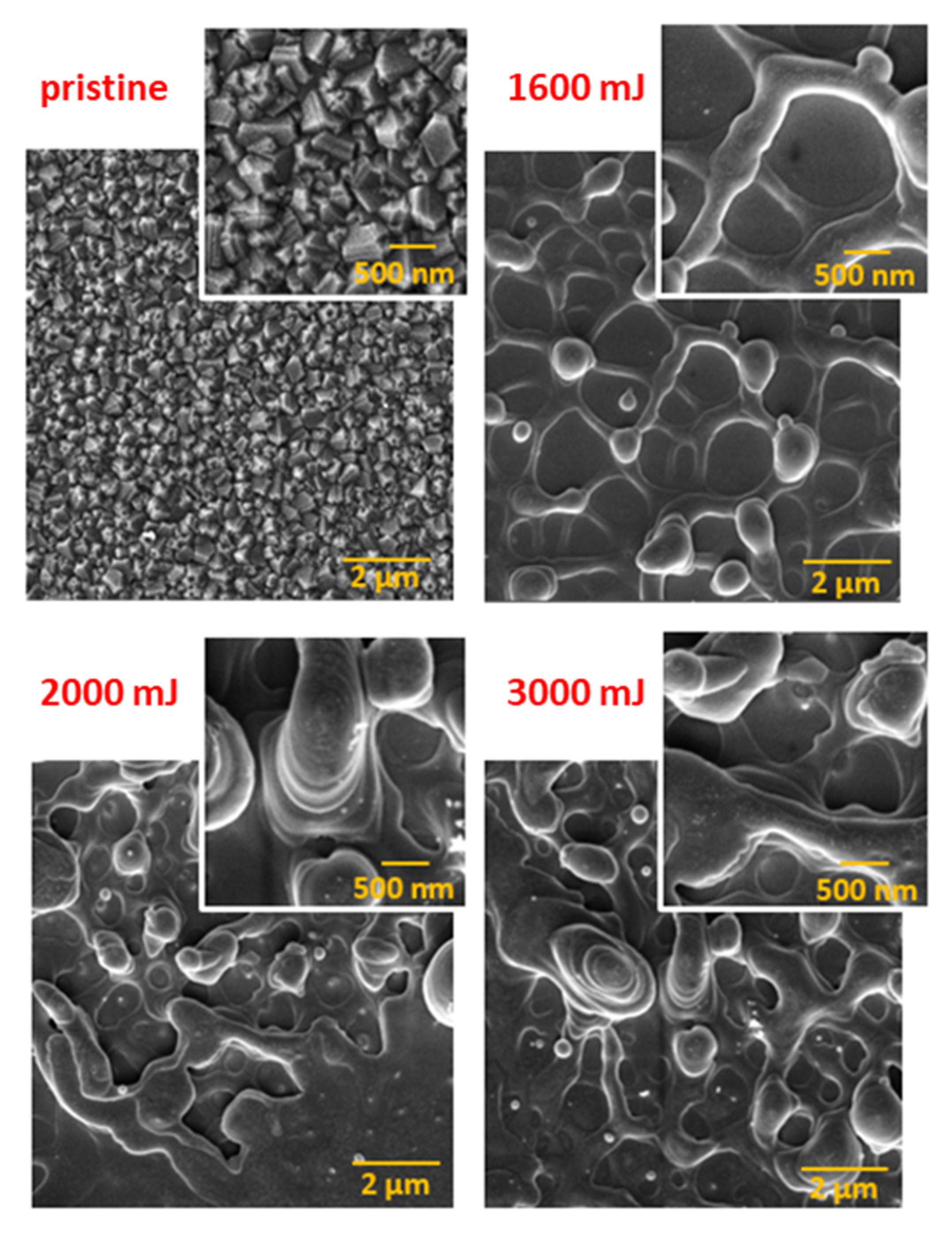 Nanomaterials 13 00557 g002