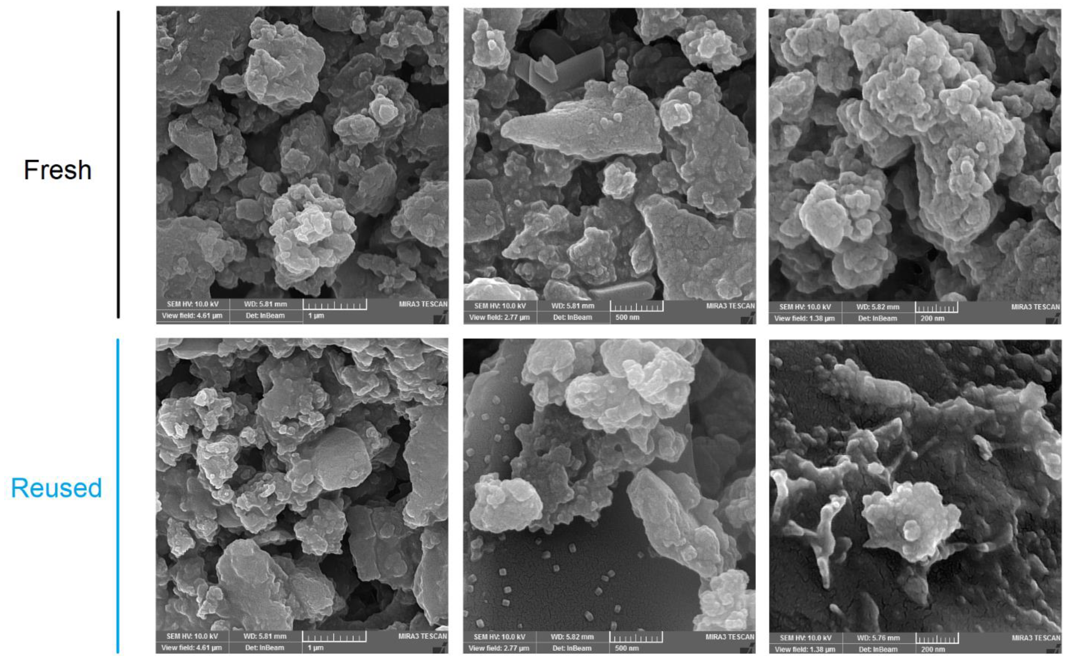 Nanomaterials 13 00558 g001