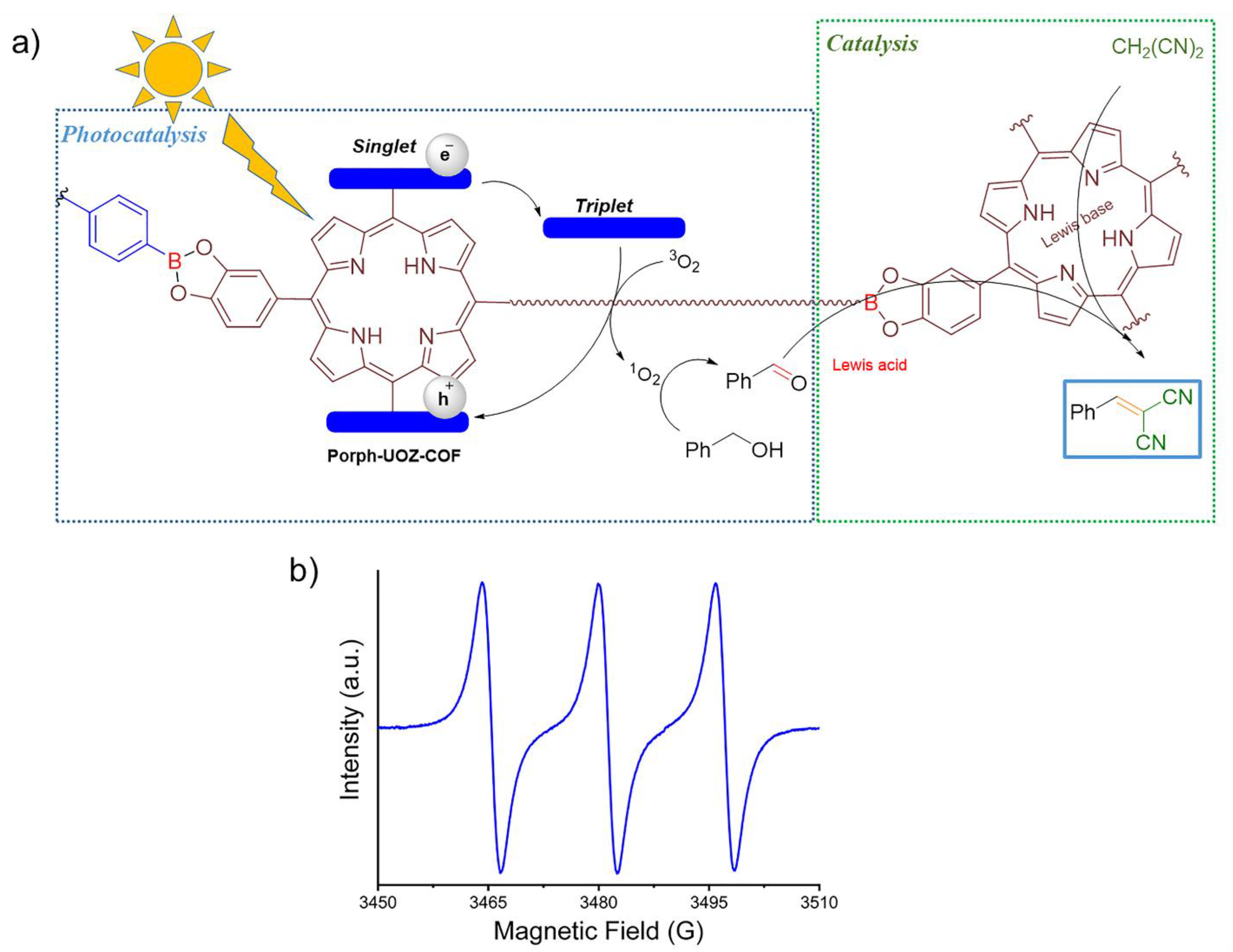 Nanomaterials 13 00558 g007