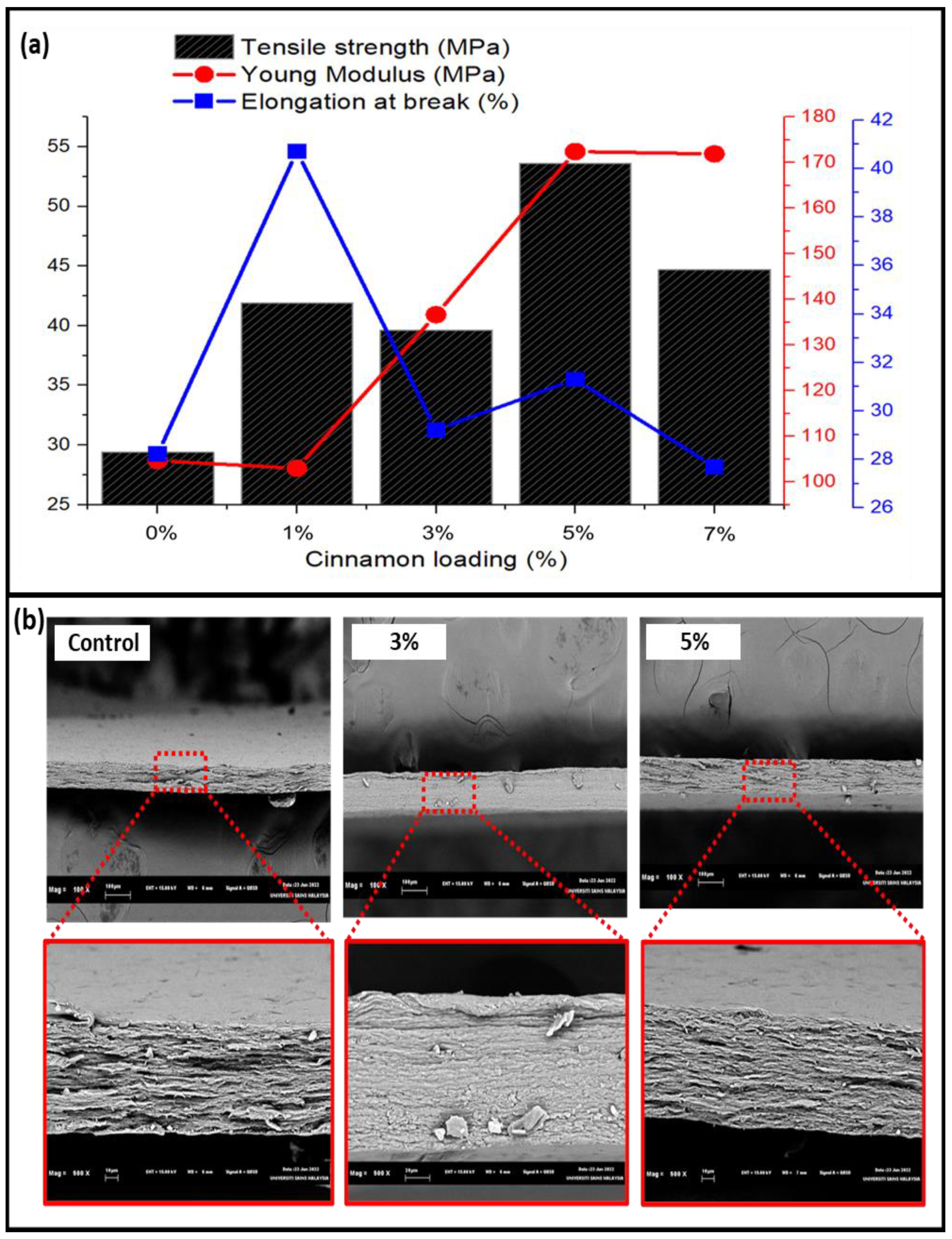 Nanomaterials 13 00560 g005