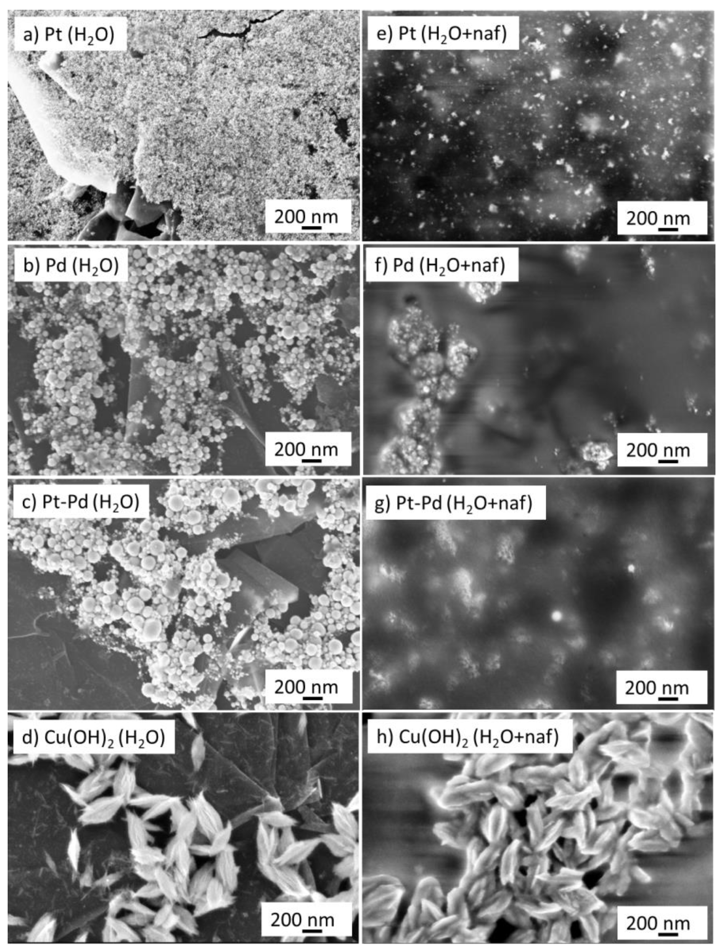 Nanomaterials 13 00561 g001