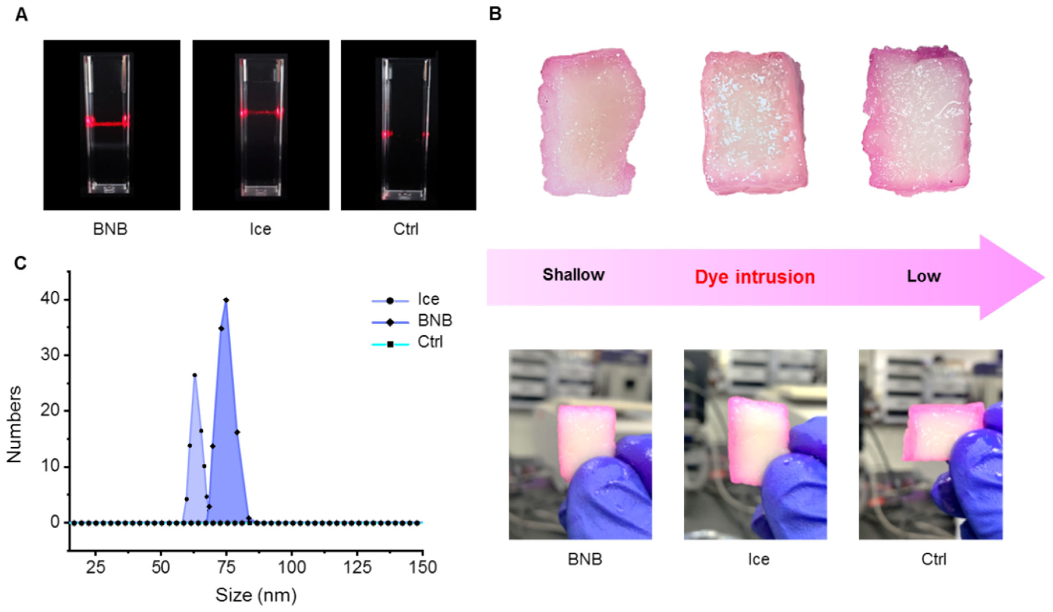 Nanomaterials 13 00562 g001
