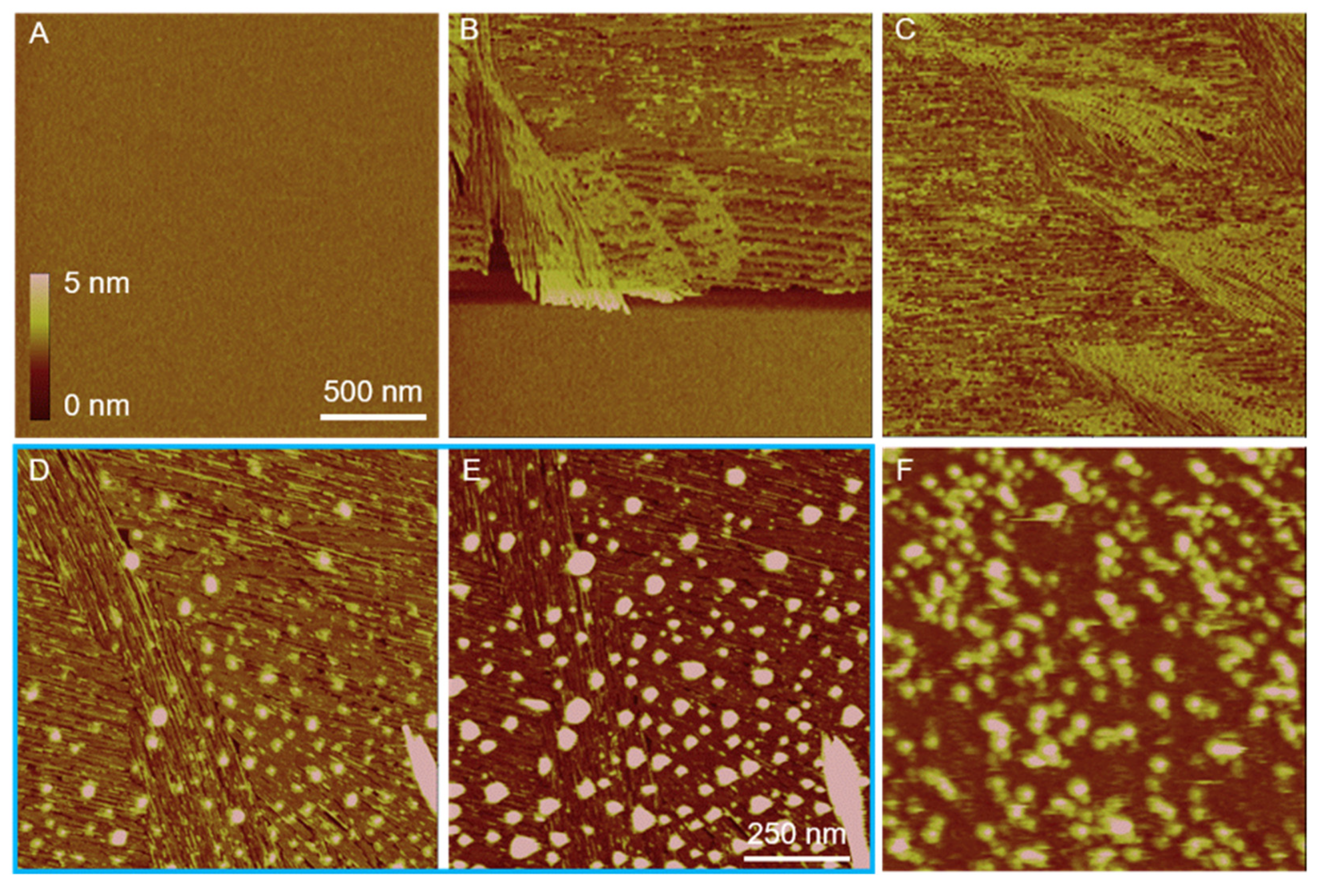Nanomaterials 13 00562 g002