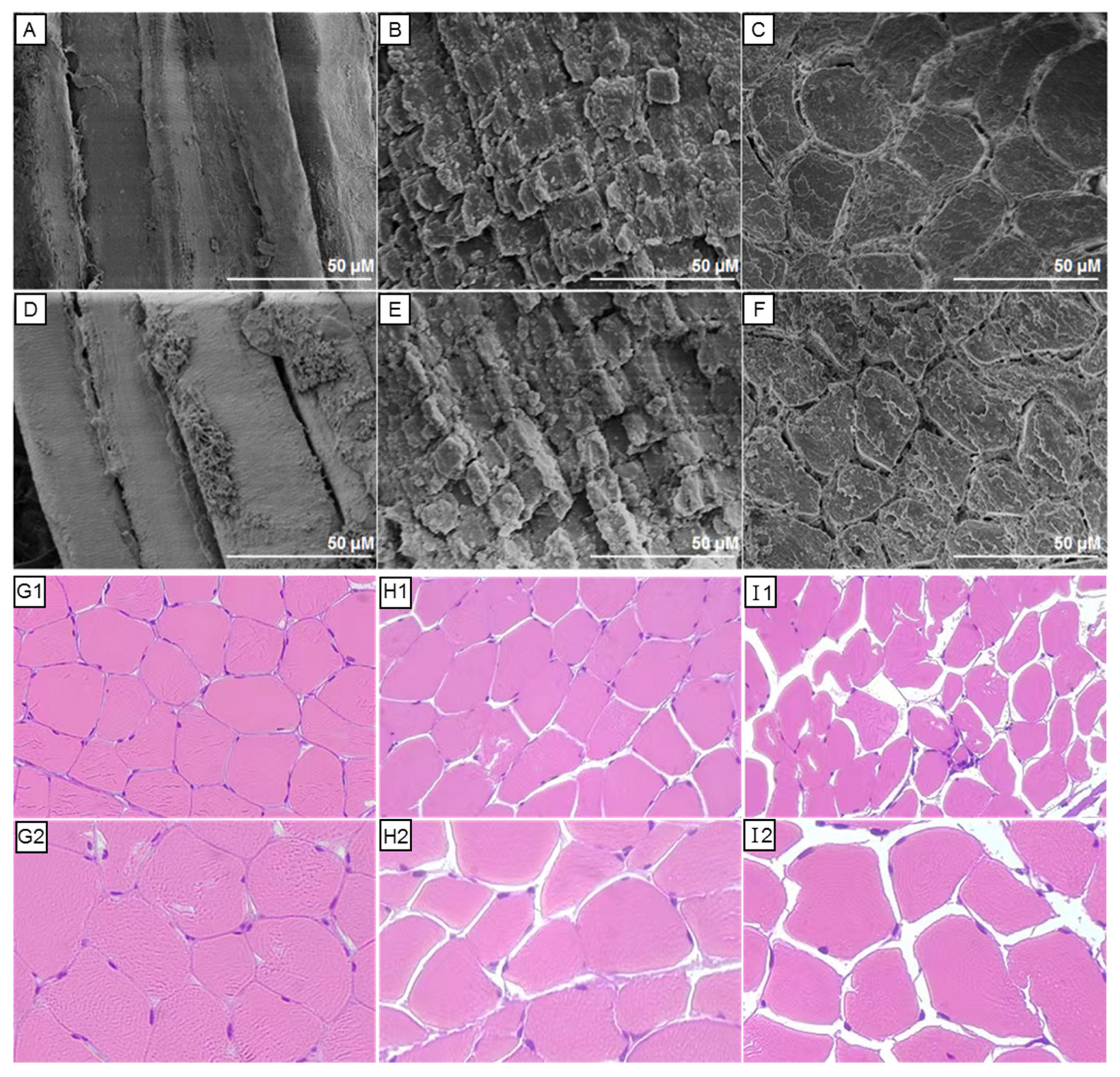 Nanomaterials 13 00562 g004