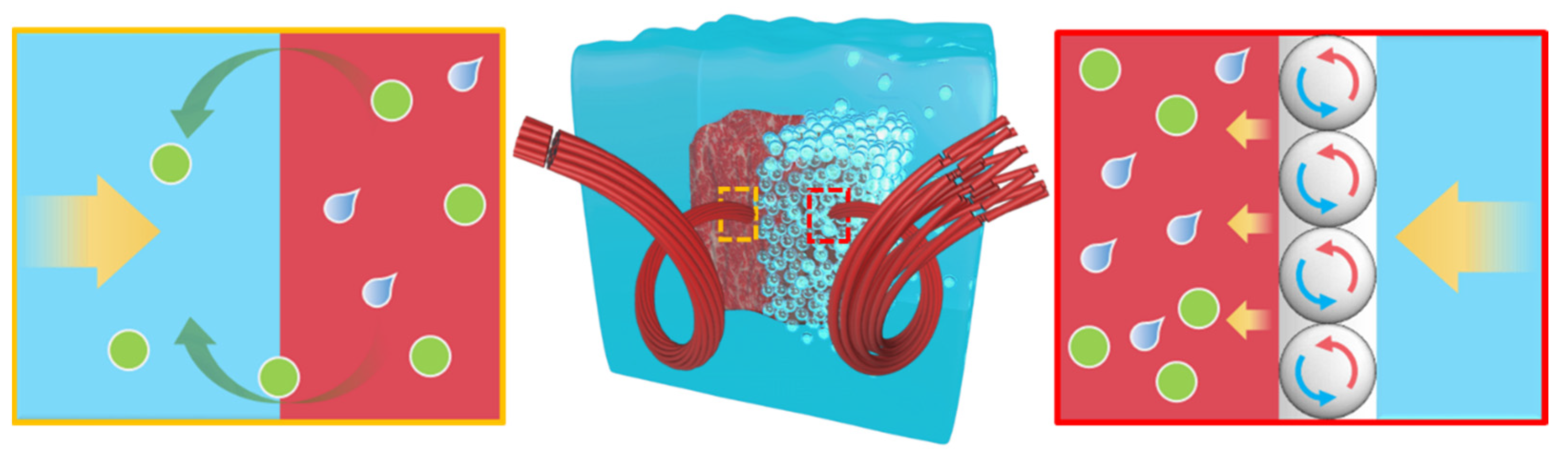 Nanomaterials 13 00562 sch001