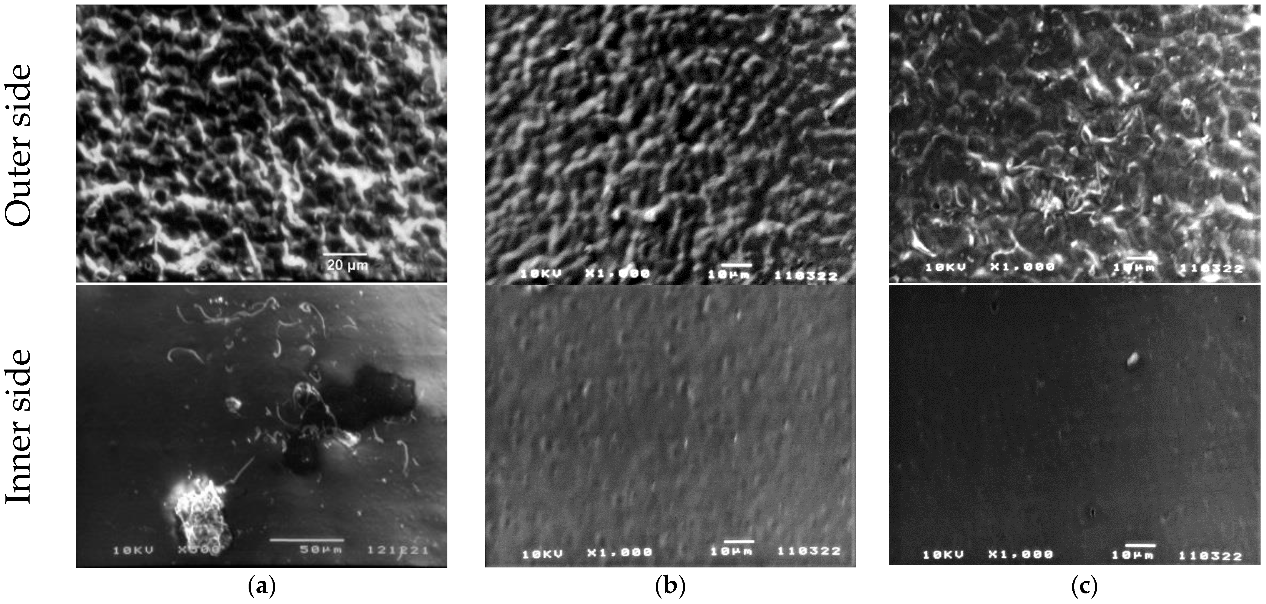 Nanomaterials 13 00564 g005