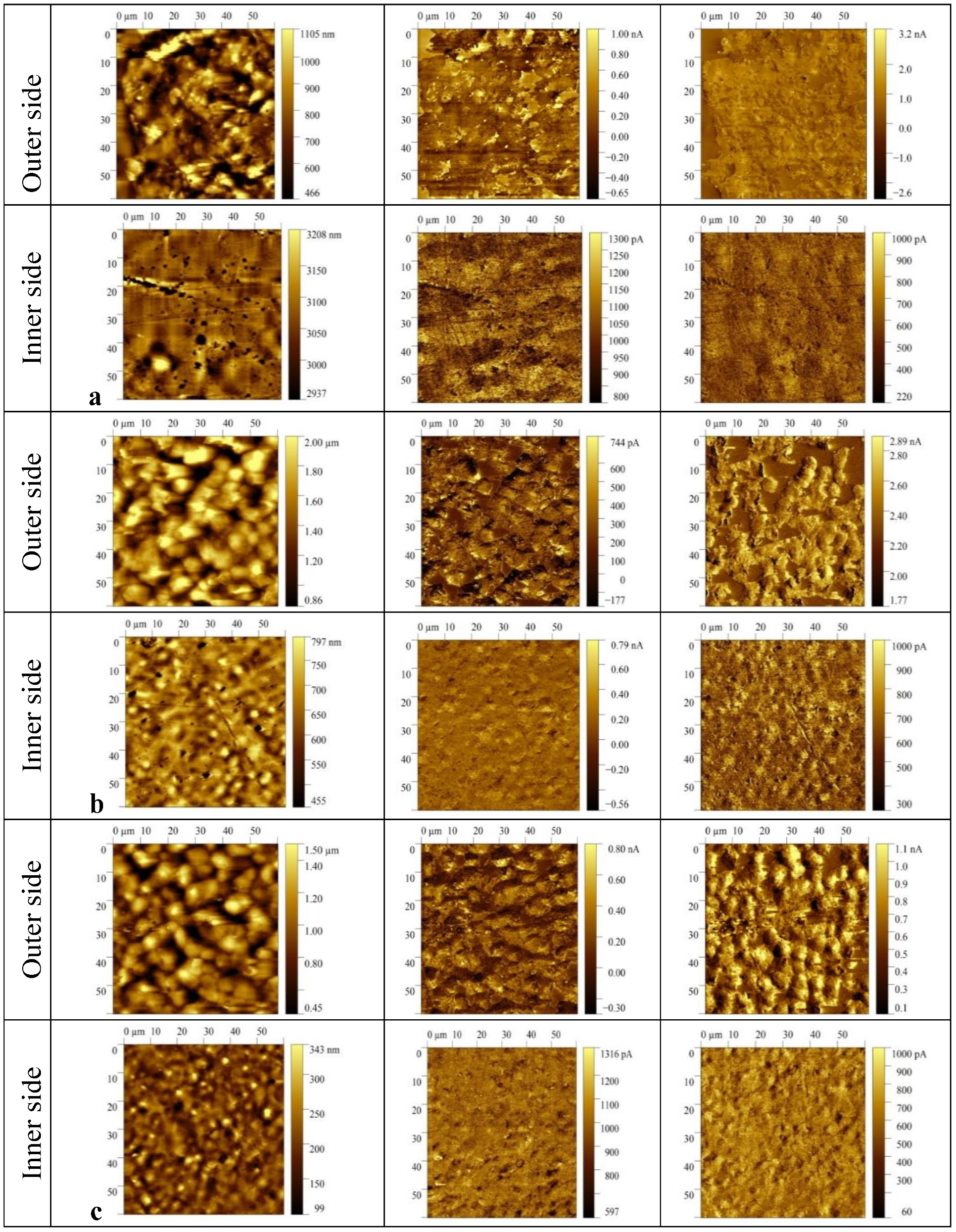 Nanomaterials 13 00564 g006
