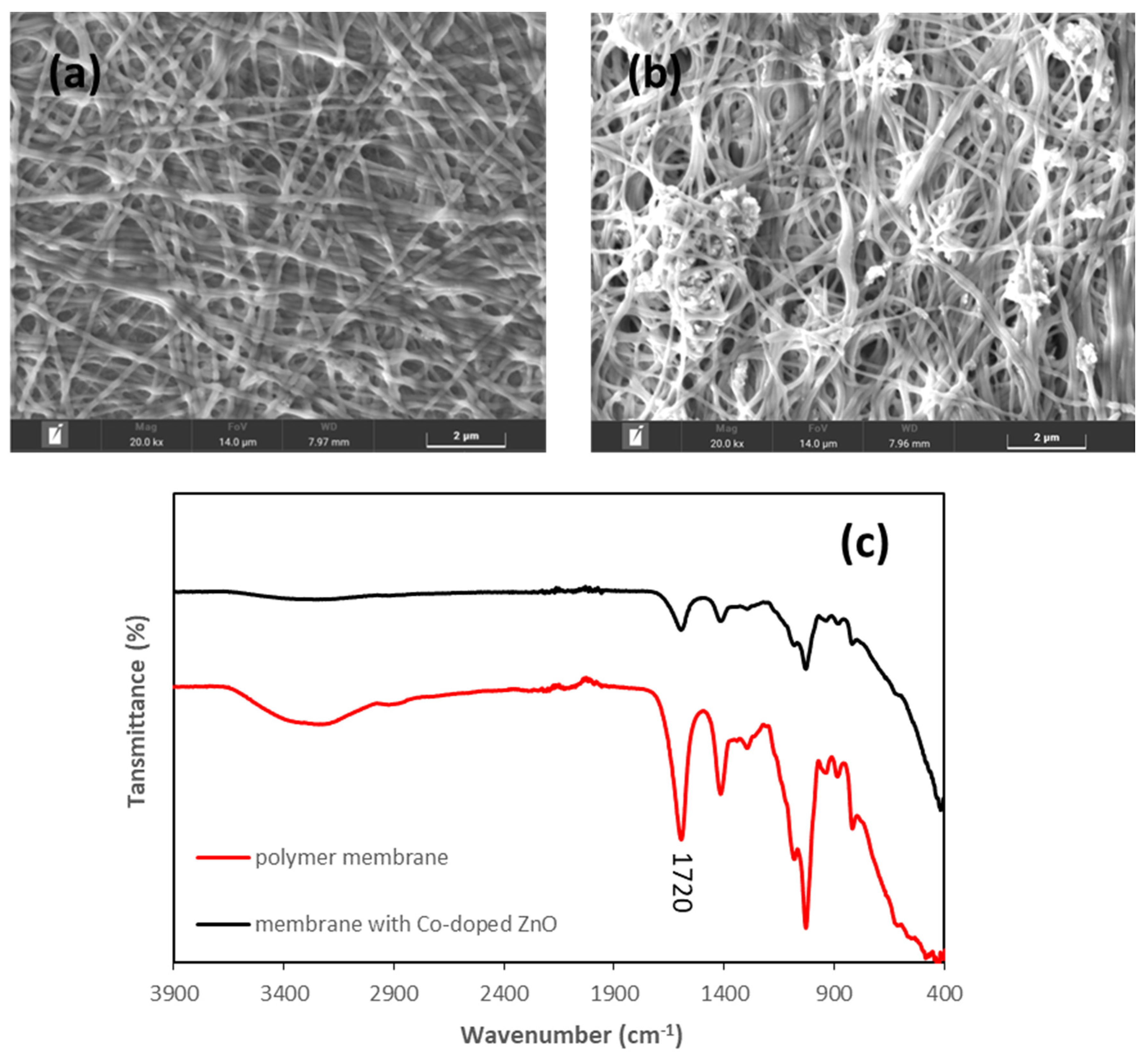 Nanomaterials 13 00566 g009