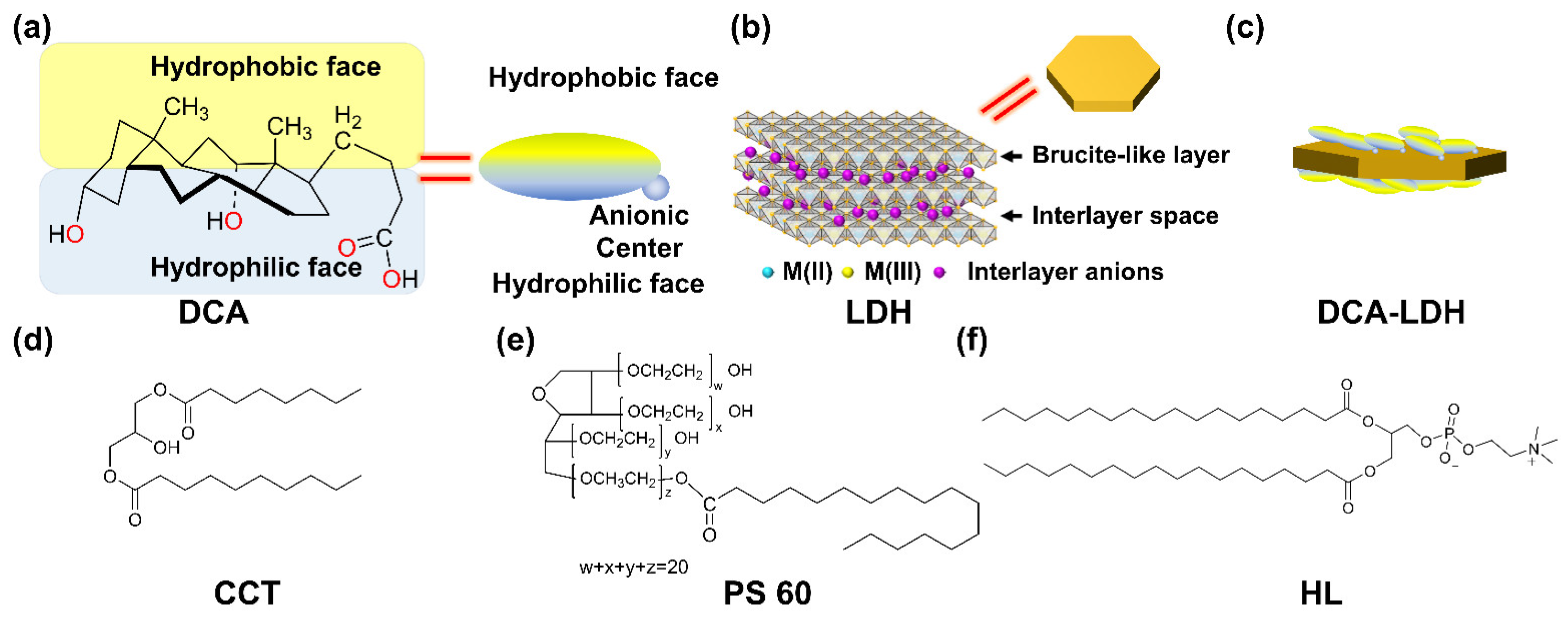 Nanomaterials 13 00567 g001