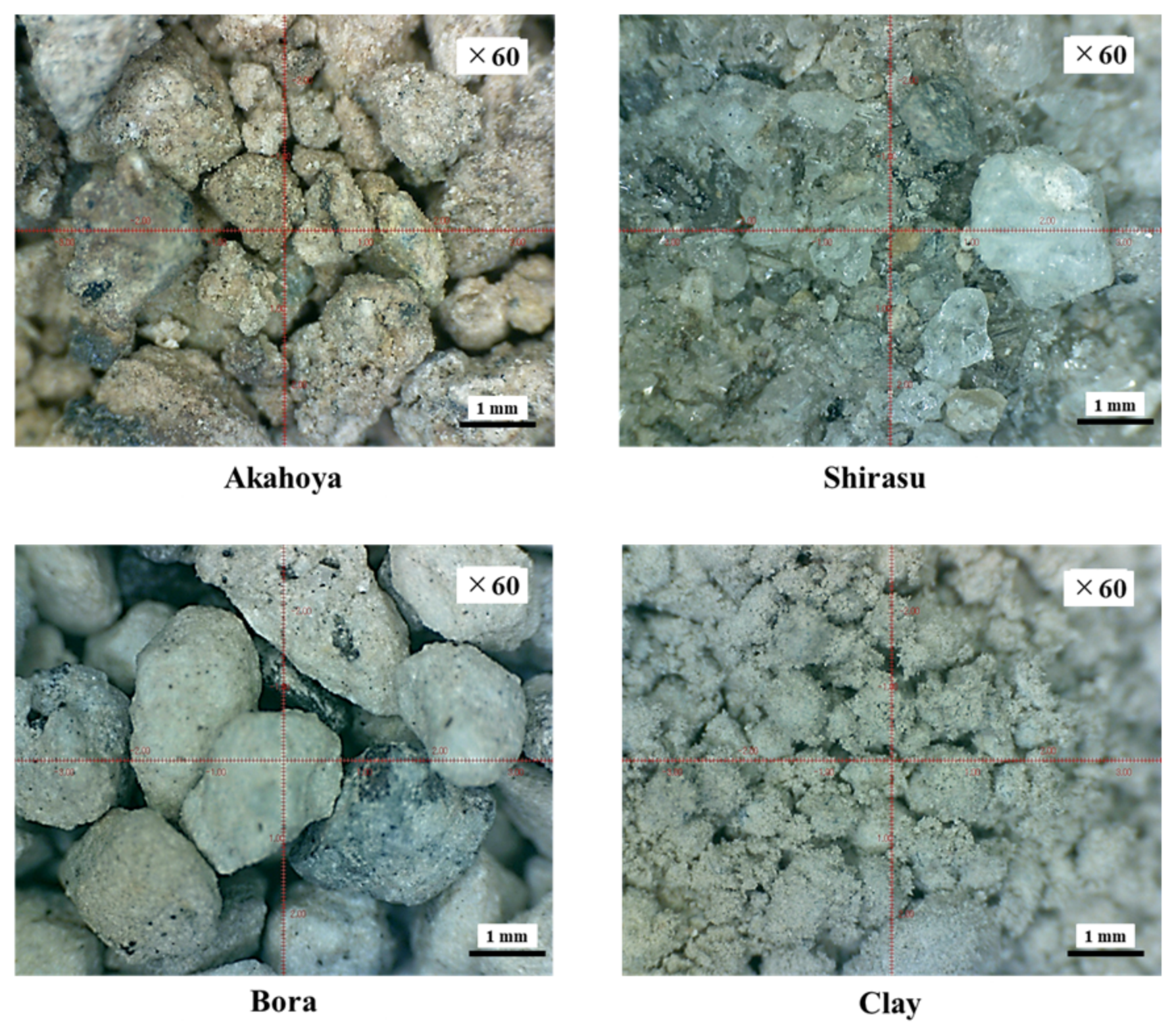 Nanomaterials 13 00568 g002