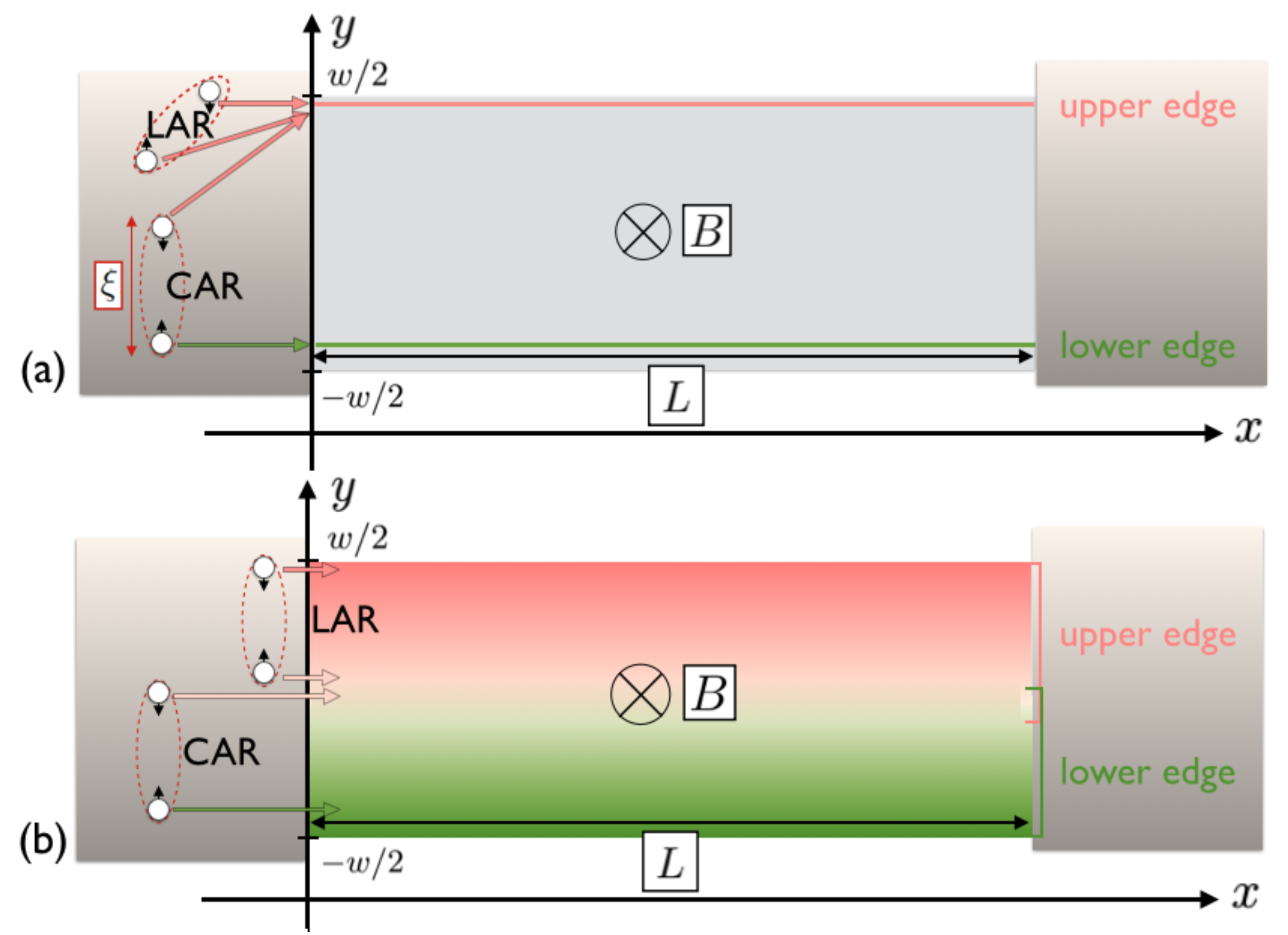 Nanomaterials 13 00569 g001