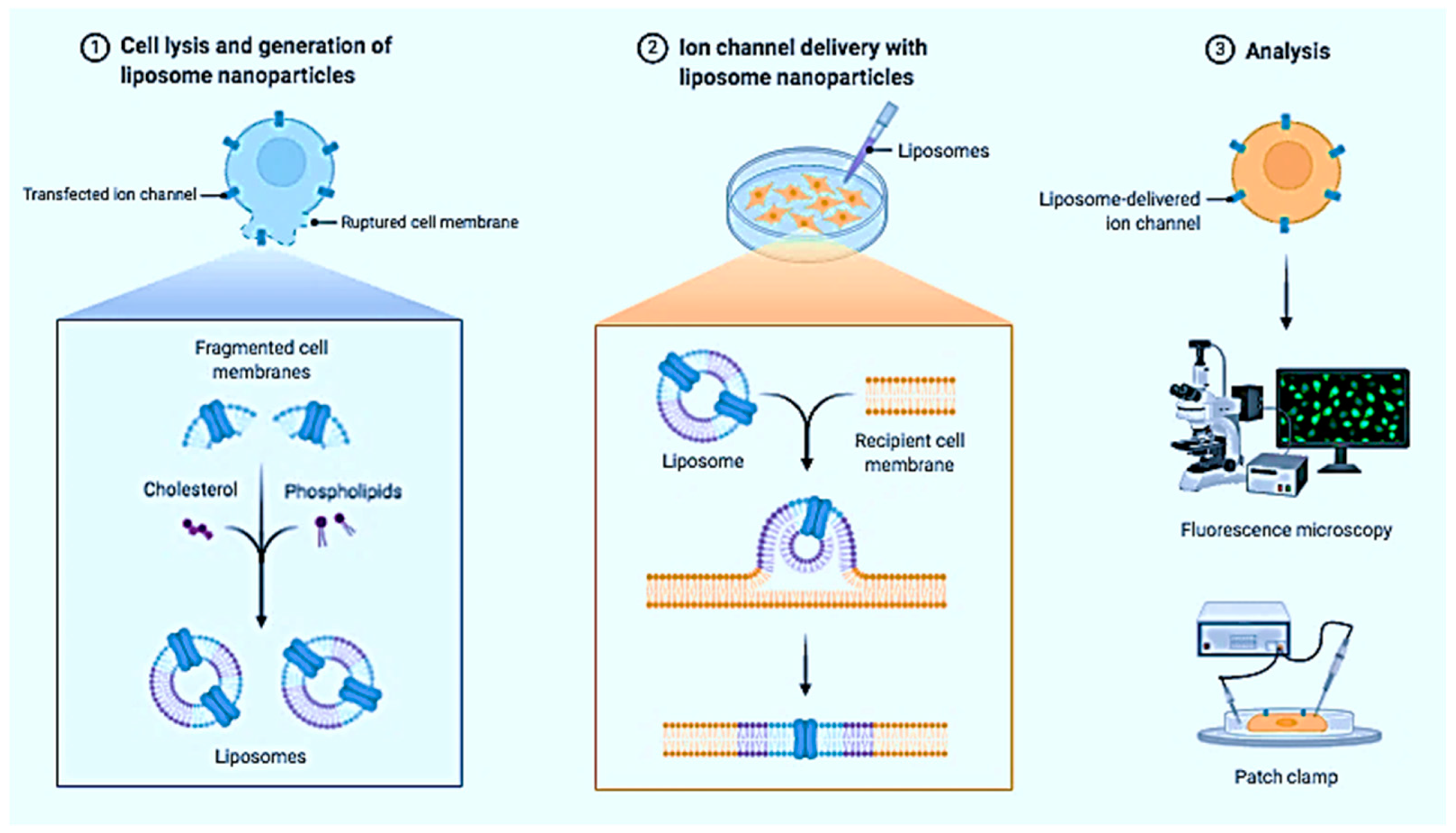 Nanomaterials 13 00574 g009 Nanomaterials 13 00574 g009