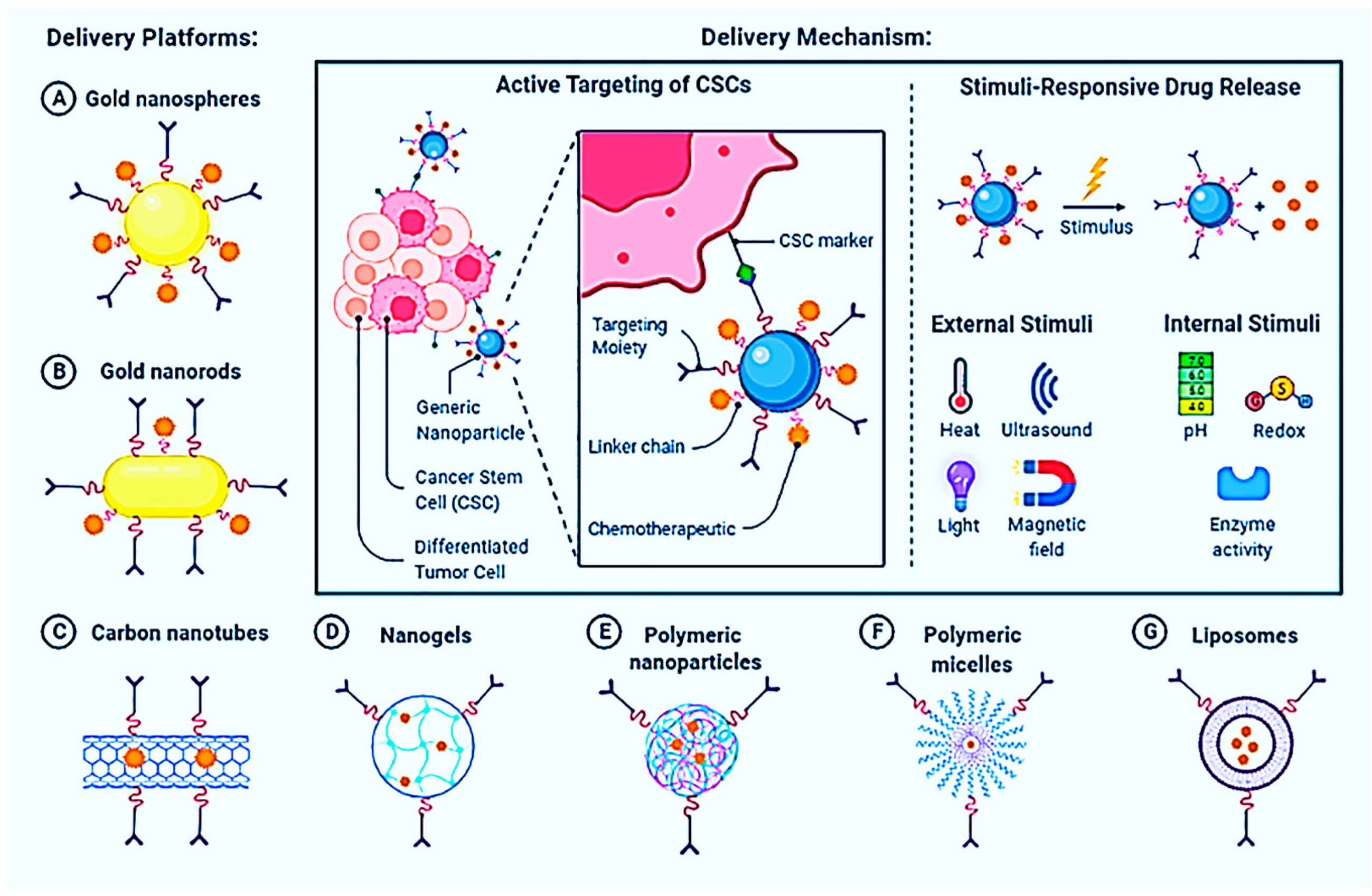 Nanomaterials 13 00574 g010 Nanomaterials 13 00574 g010