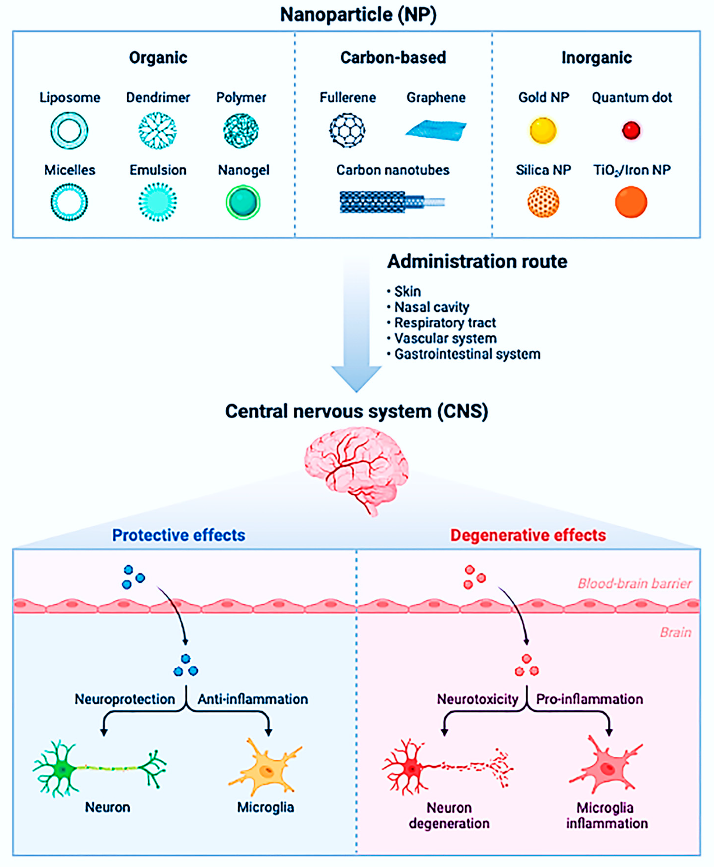 Nanomaterials 13 00574 g011 Nanomaterials 13 00574 g011