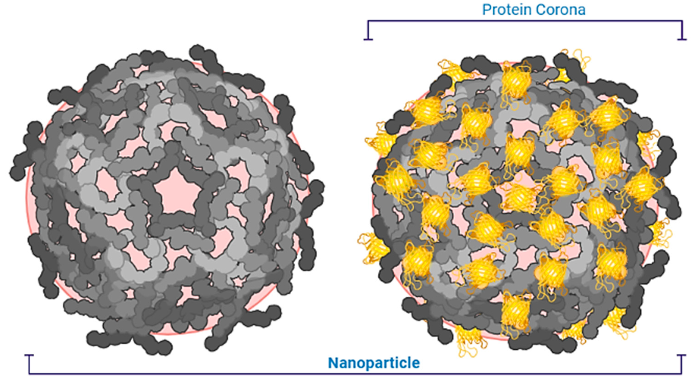 Nanomaterials 13 00574 g012 Nanomaterials 13 00574 g012