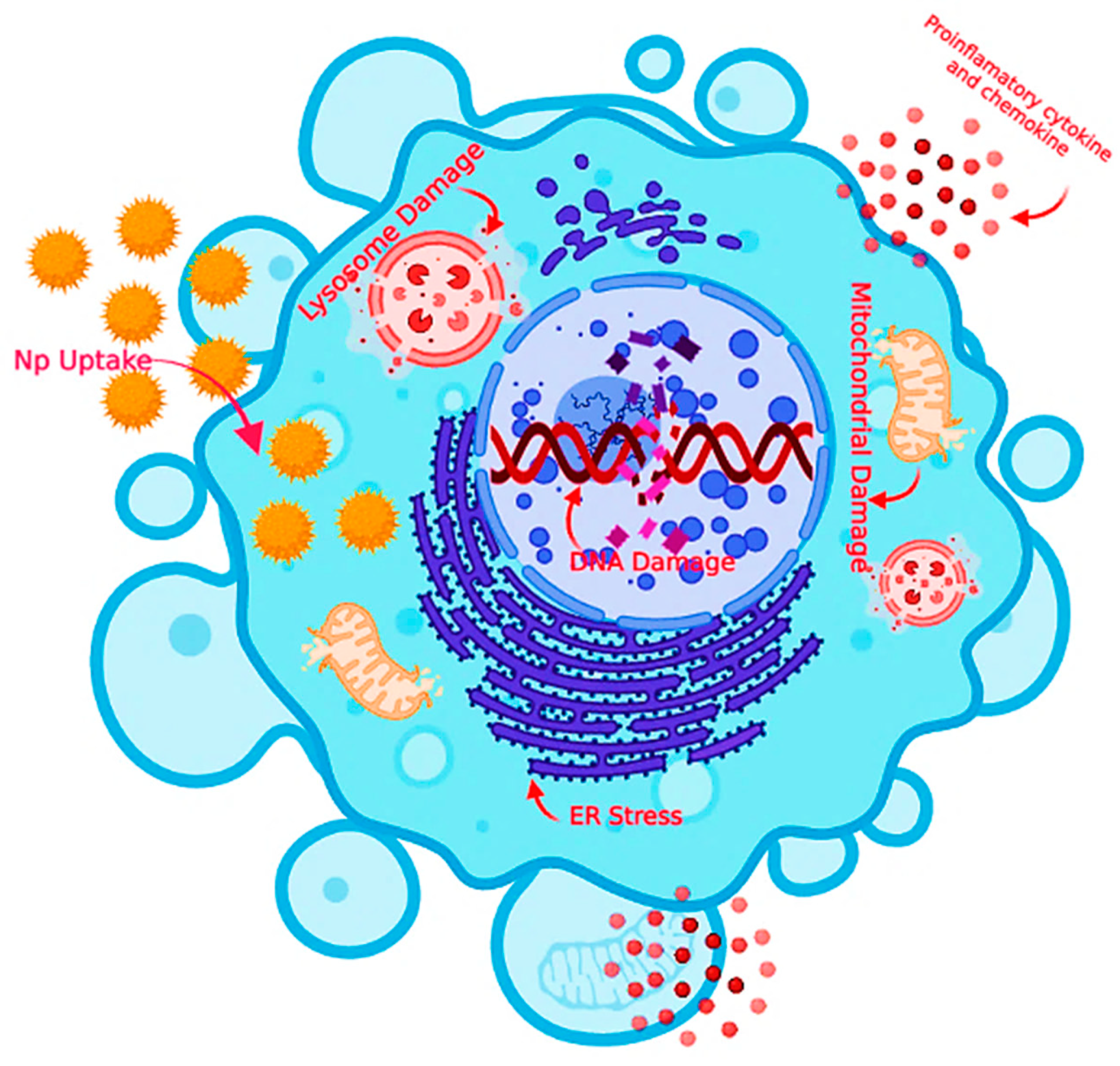 Nanomaterials 13 00574 g013 Nanomaterials 13 00574 g013