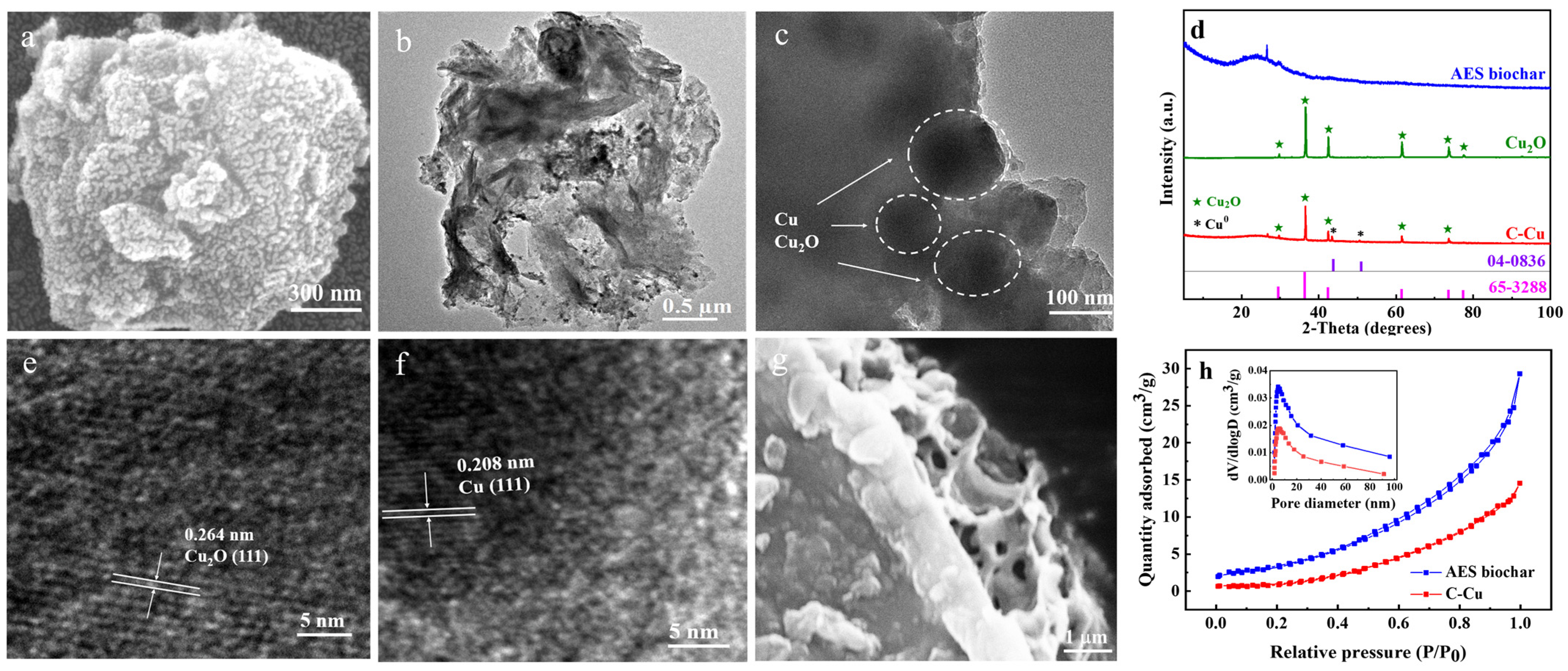 Nanomaterials 13 00576 g001