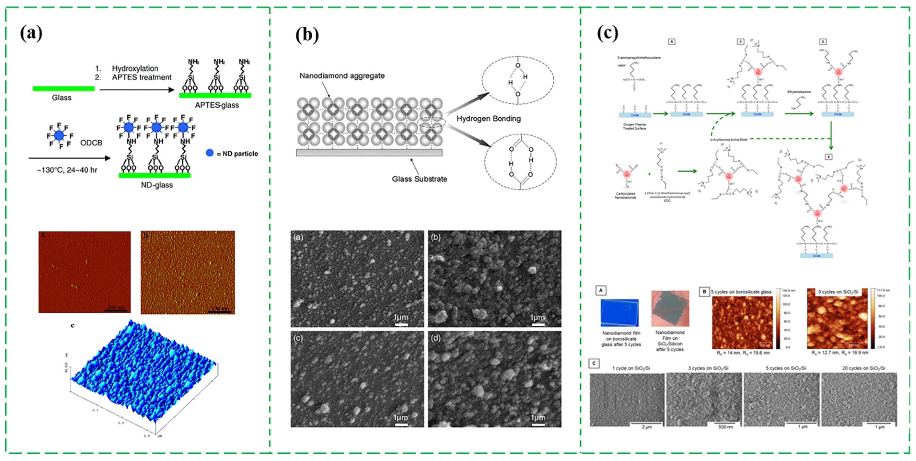 Nanomaterials 13 00577 g005