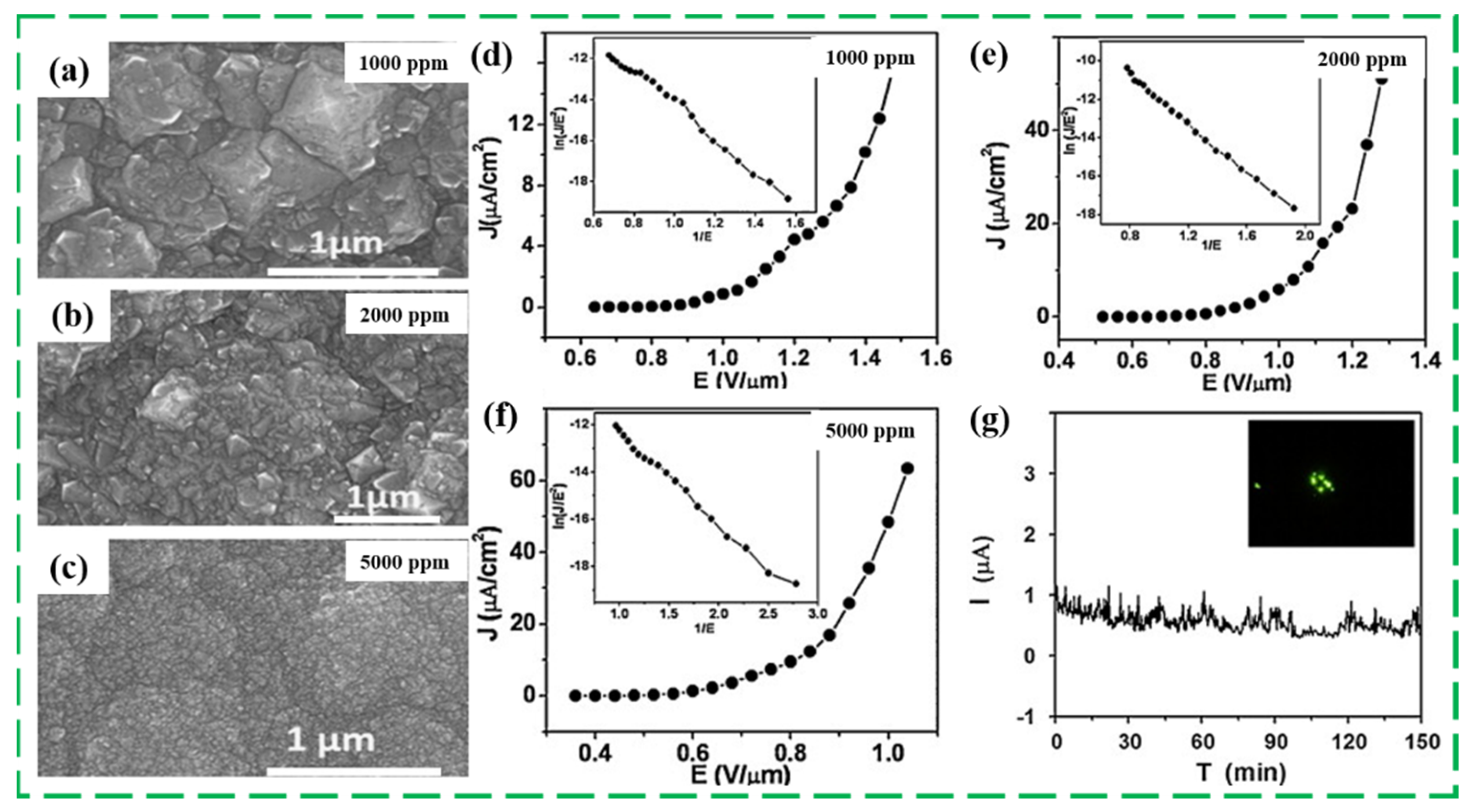 Nanomaterials 13 00577 g008