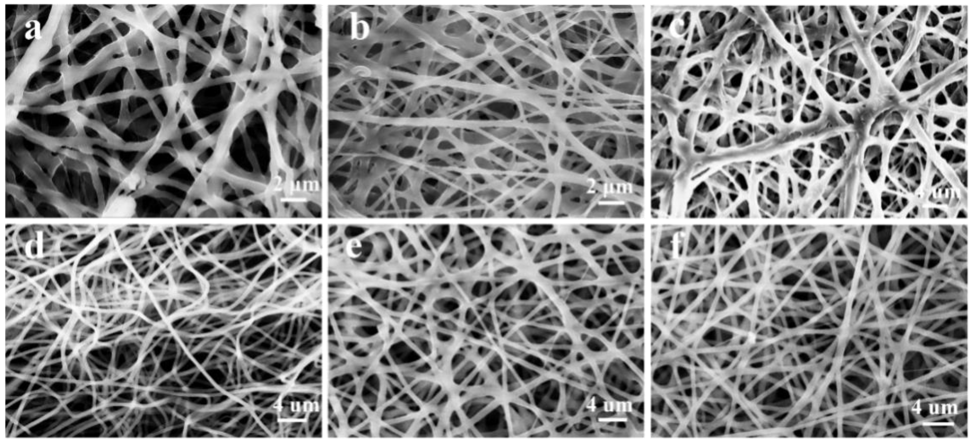 Nanomaterials 13 00583 g001