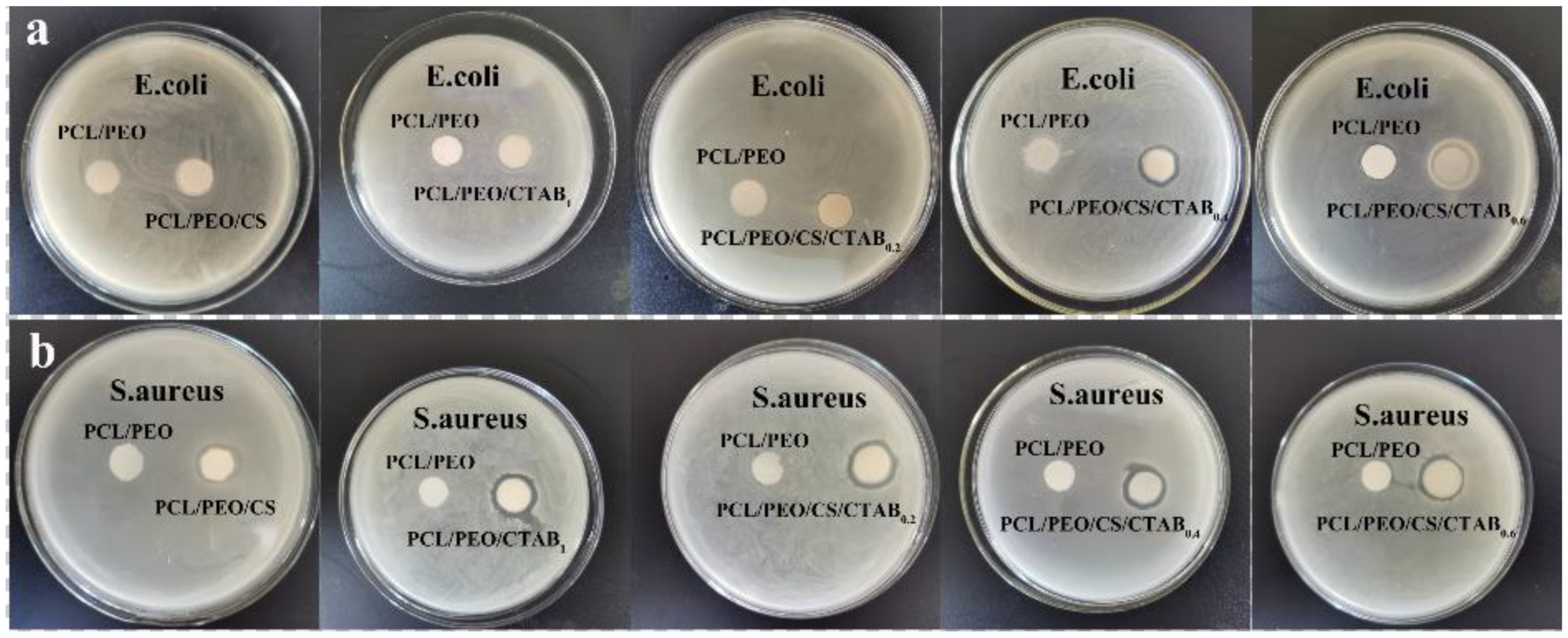 Nanomaterials 13 00583 g007