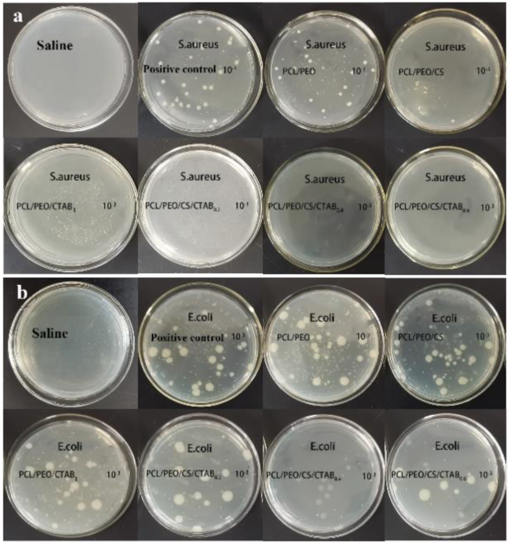 Nanomaterials 13 00583 g008